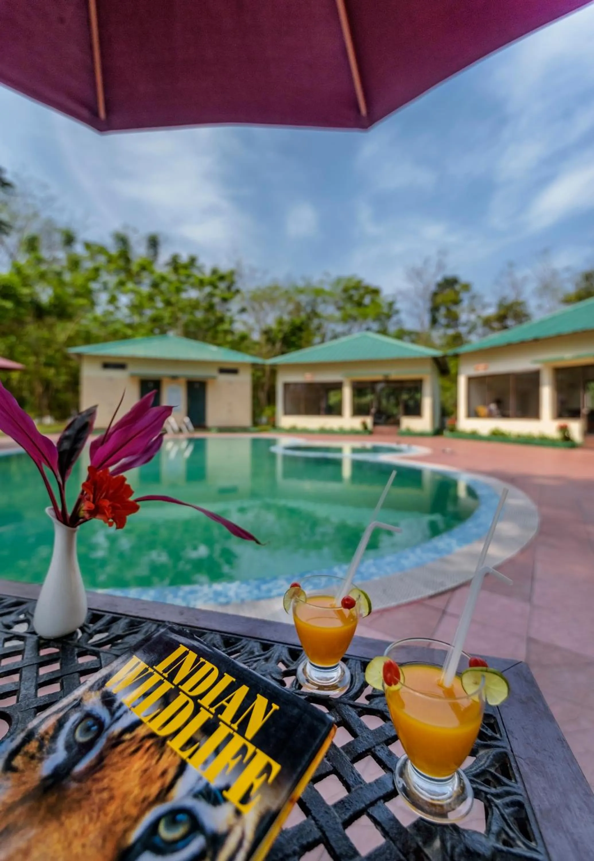 Swimming pool in The Riverwood Forest Retreat Dooars - fully vaccinated staff