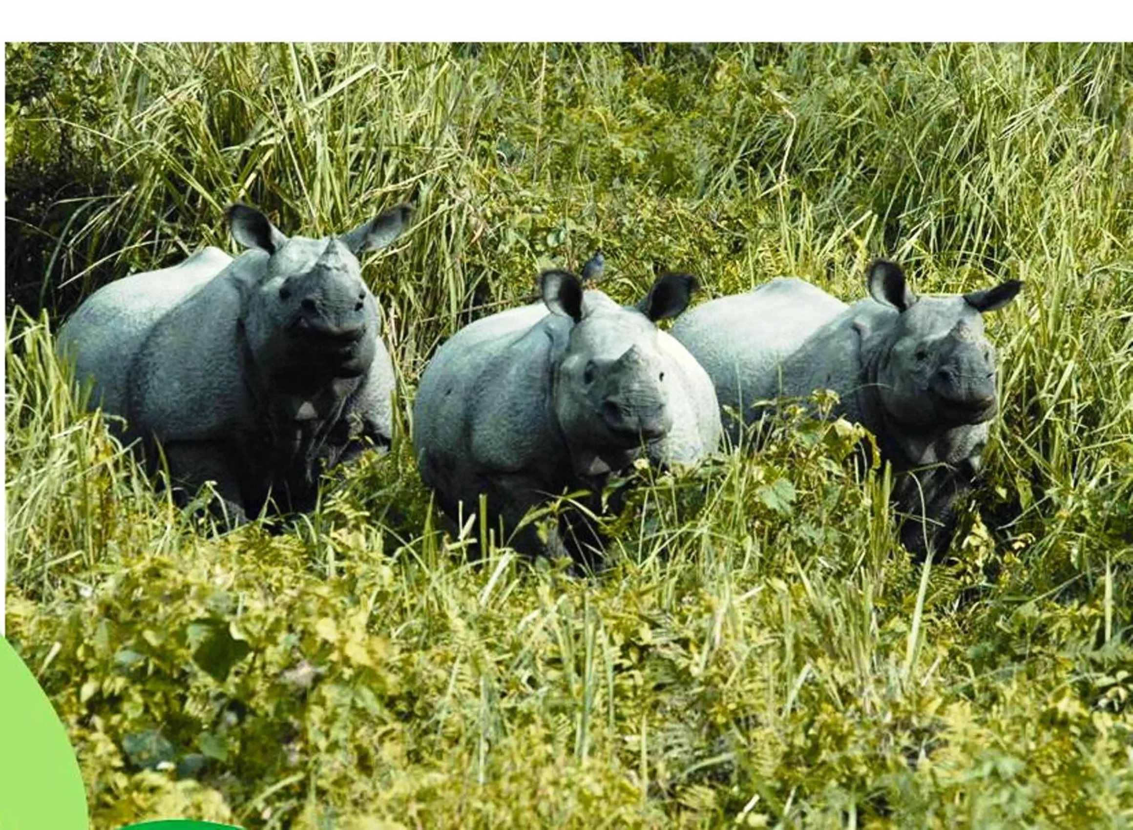 Nearby landmark in The Riverwood Forest Retreat Dooars - fully vaccinated staff