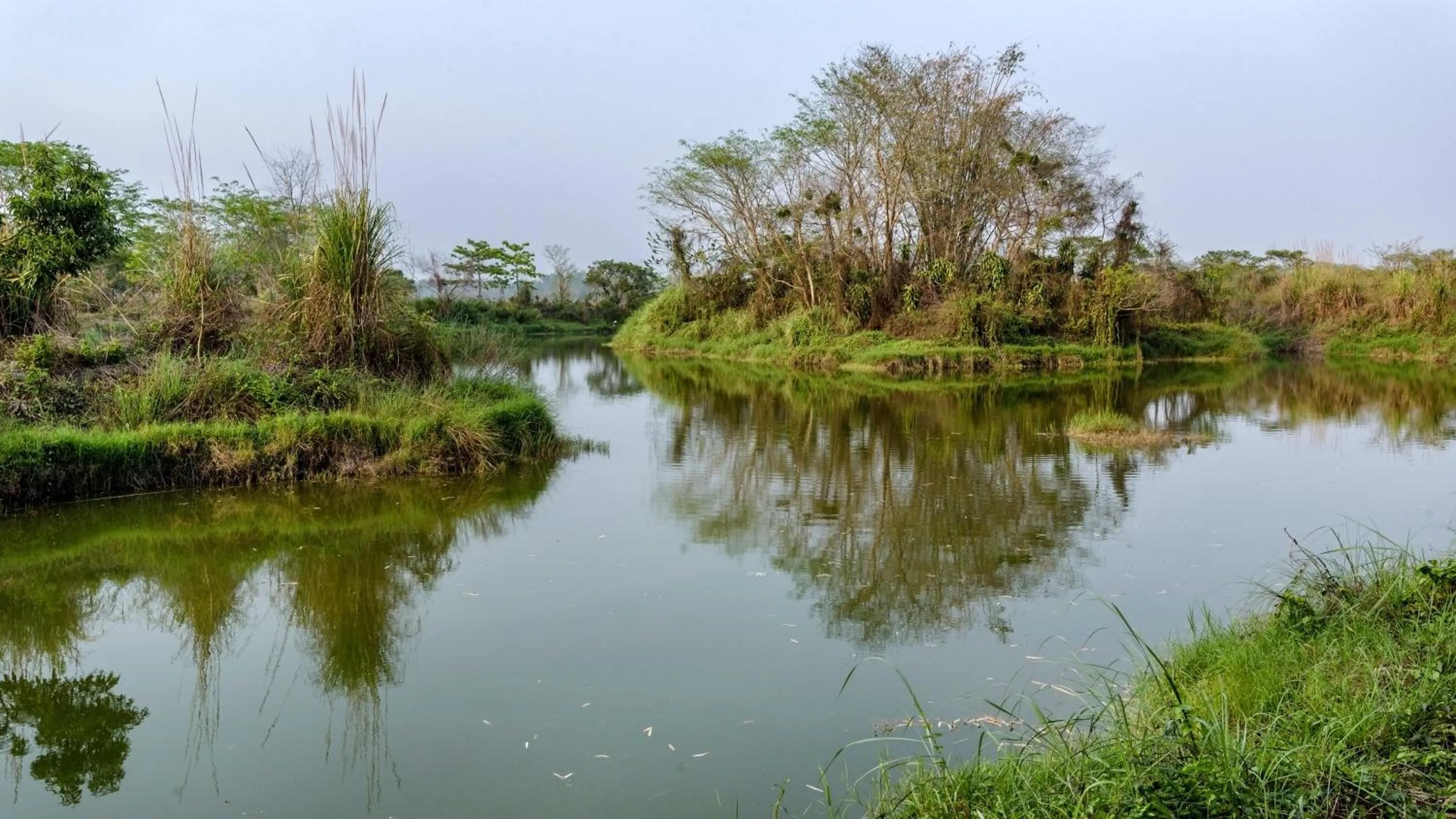 Natural landscape in The Riverwood Forest Retreat Dooars - fully vaccinated staff