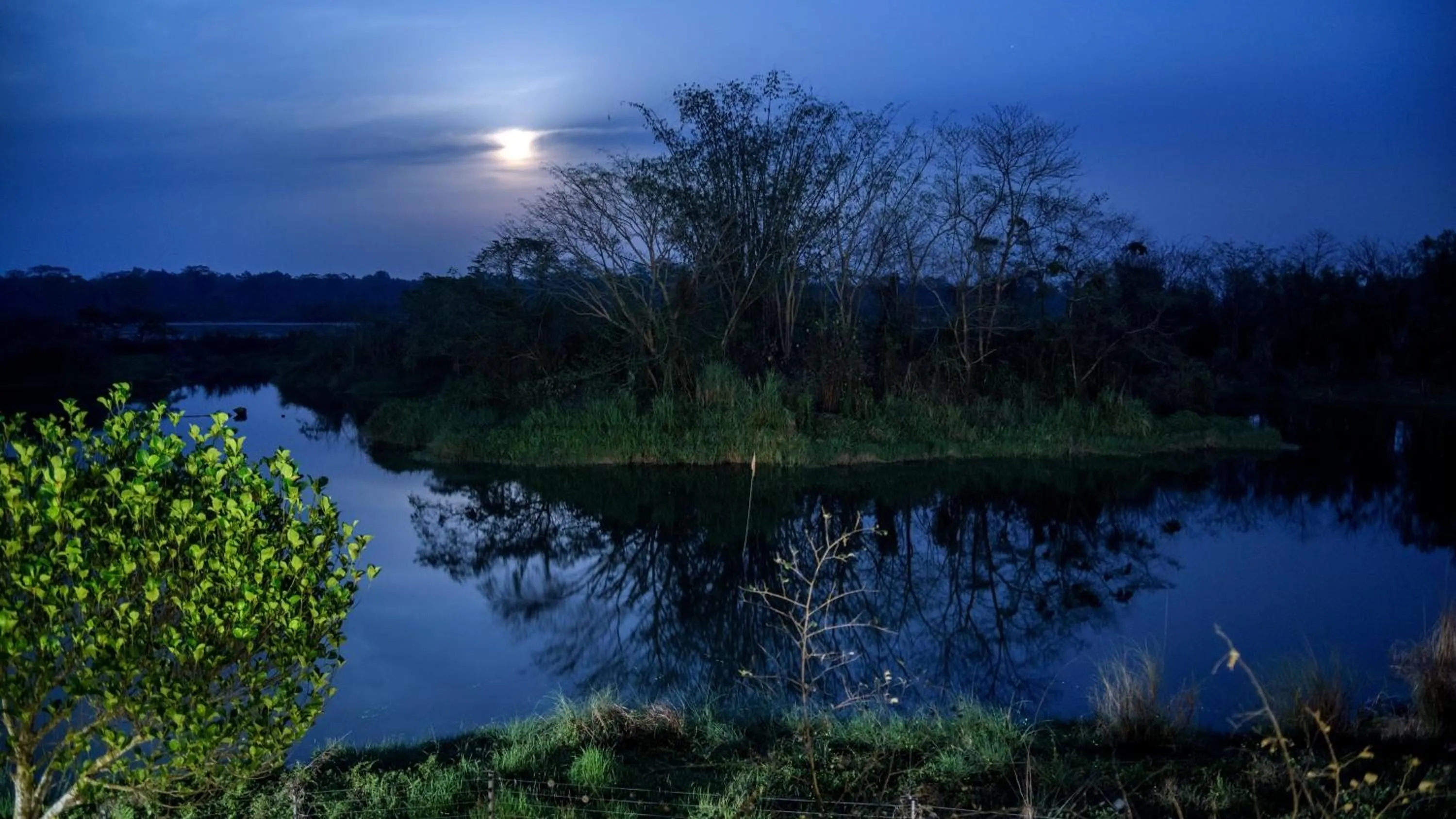 Lake view in The Riverwood Forest Retreat Dooars - fully vaccinated staff
