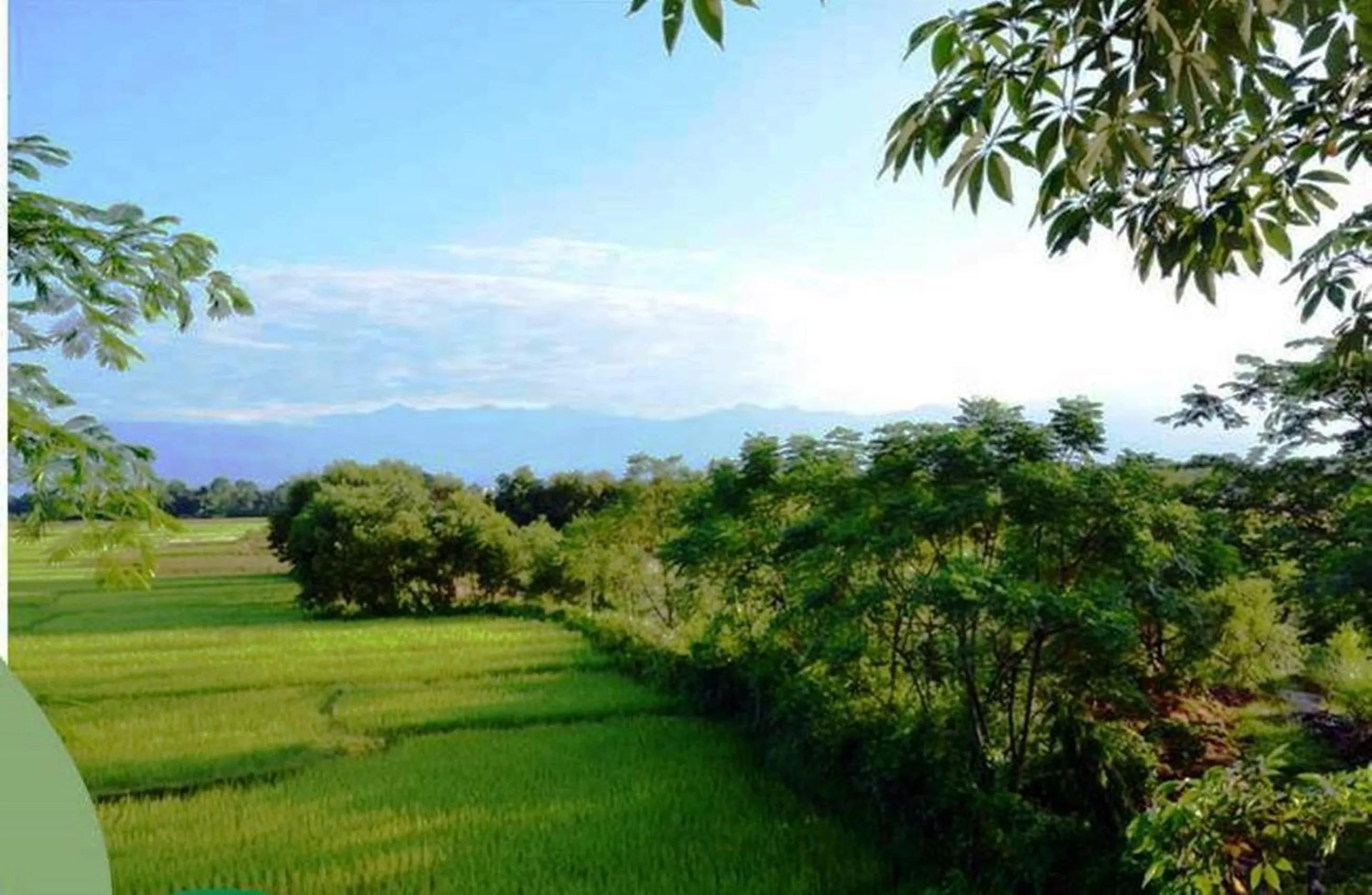 Bird's eye view in The Riverwood Forest Retreat Dooars - fully vaccinated staff
