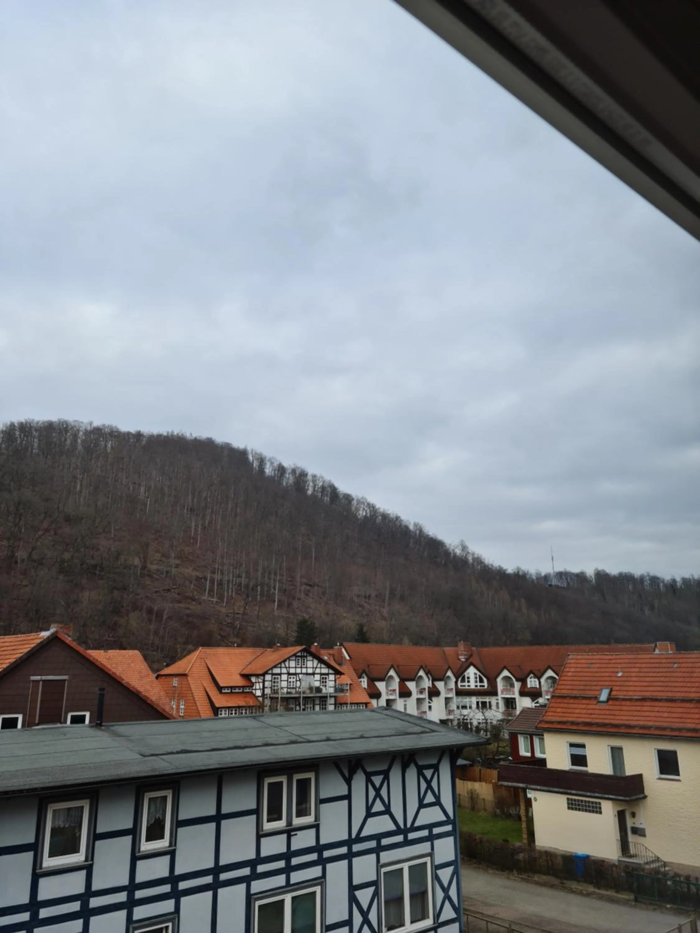 Mountain view in Pension Kreihe im Harz