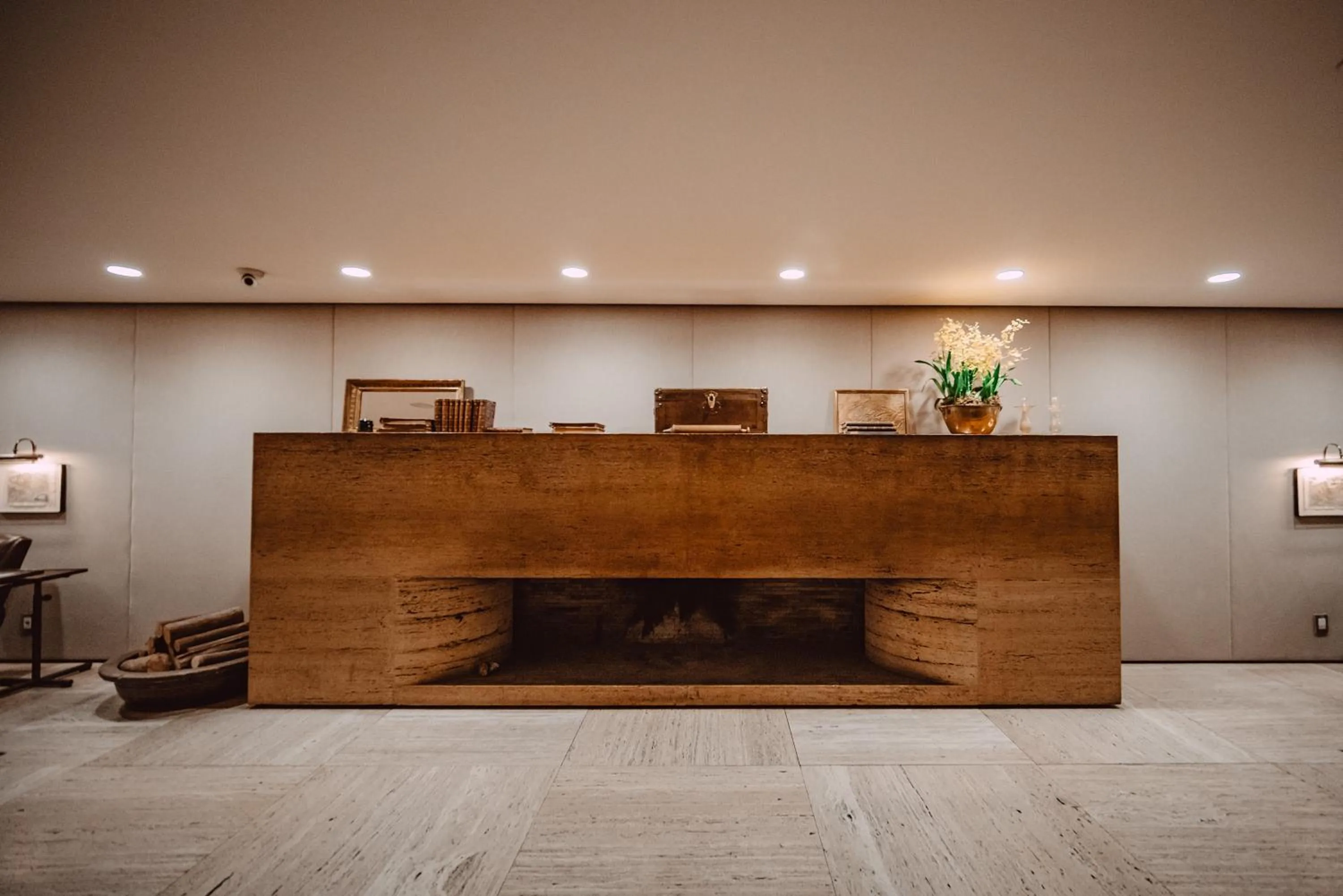 Lobby or reception in Hotel Fasano Sao Paulo