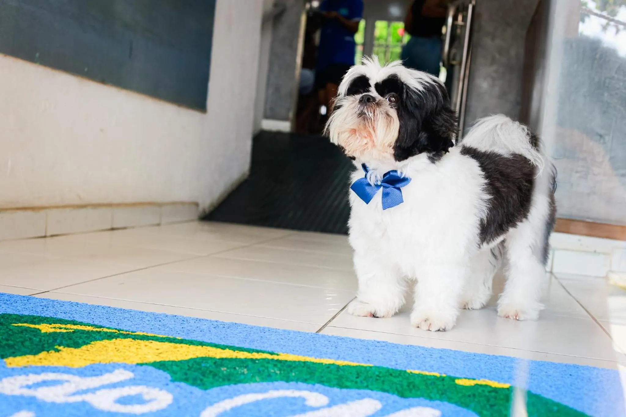 Pousada Brisa do Morro