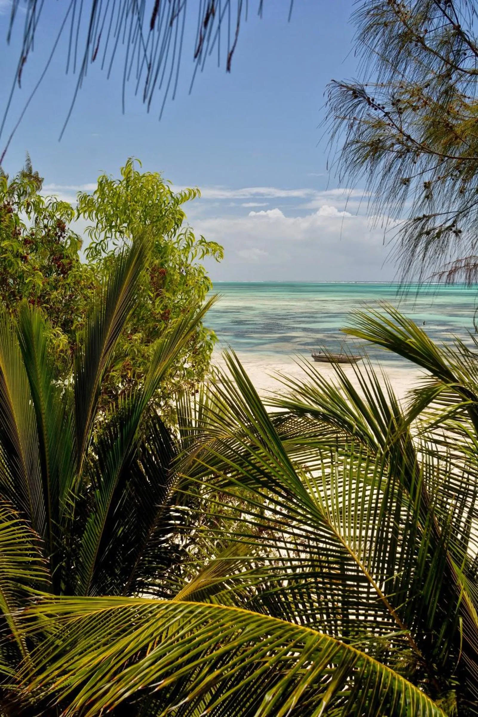 Natural landscape in Kipepeo Lodge Zanzibar