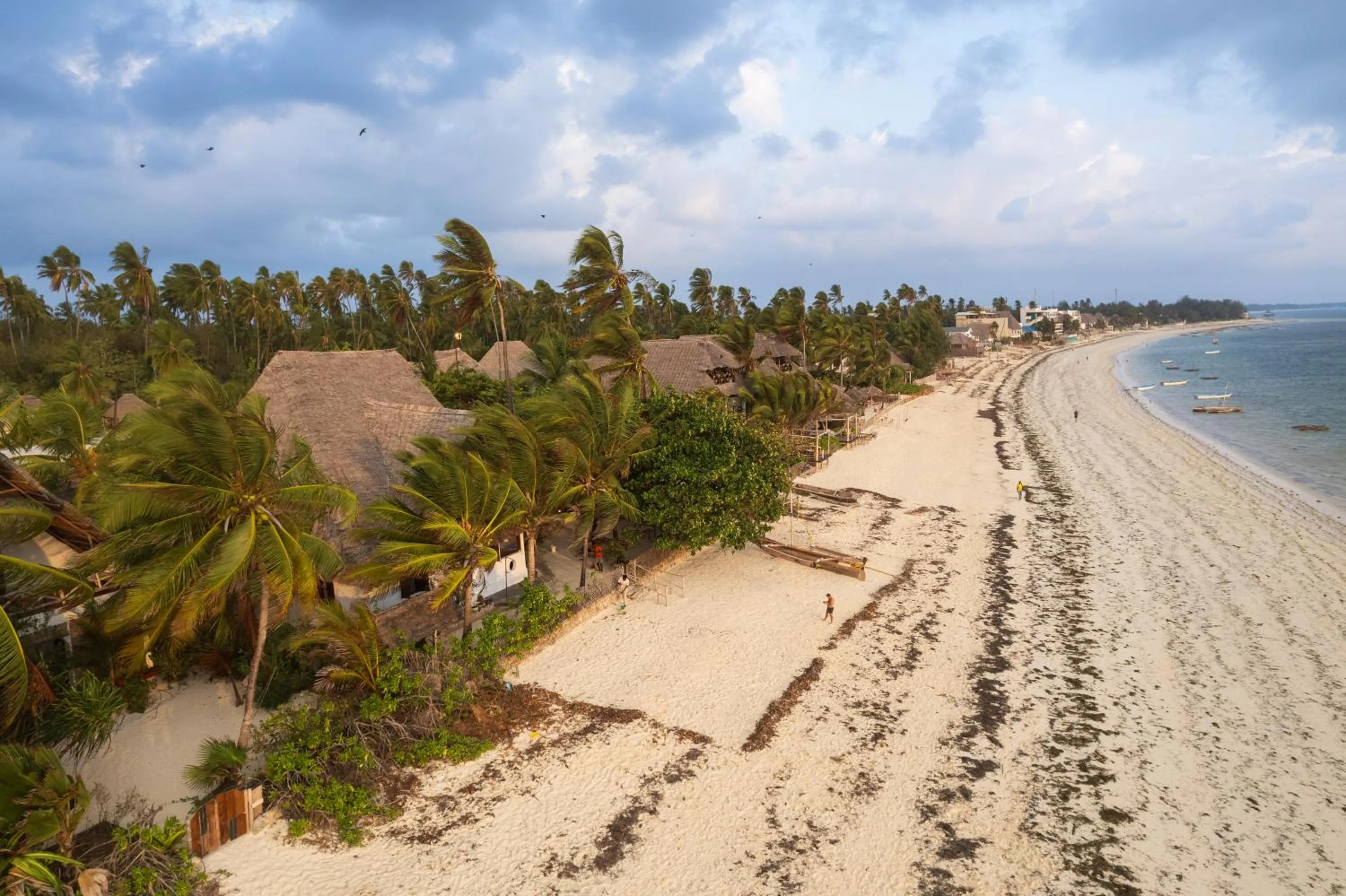 Bird's eye view in Kipepeo Lodge Zanzibar