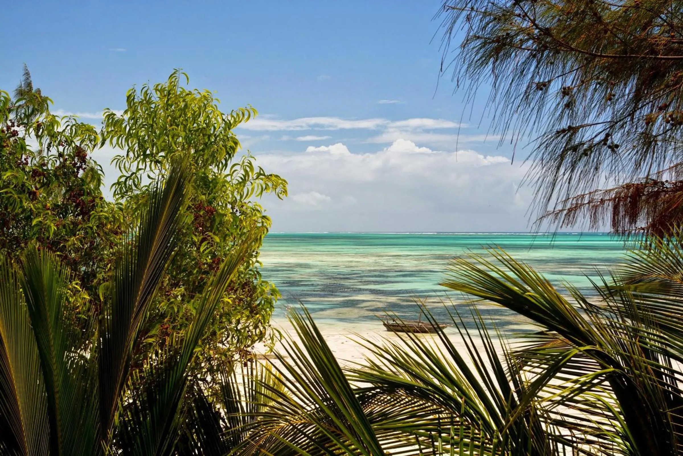 Beach in Kipepeo Lodge Zanzibar
