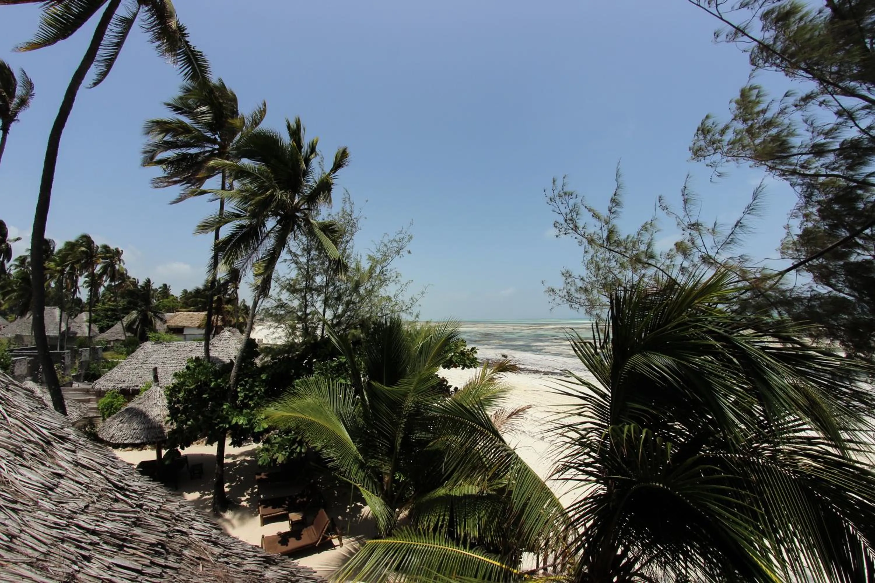 Sea view in Kipepeo Lodge Zanzibar