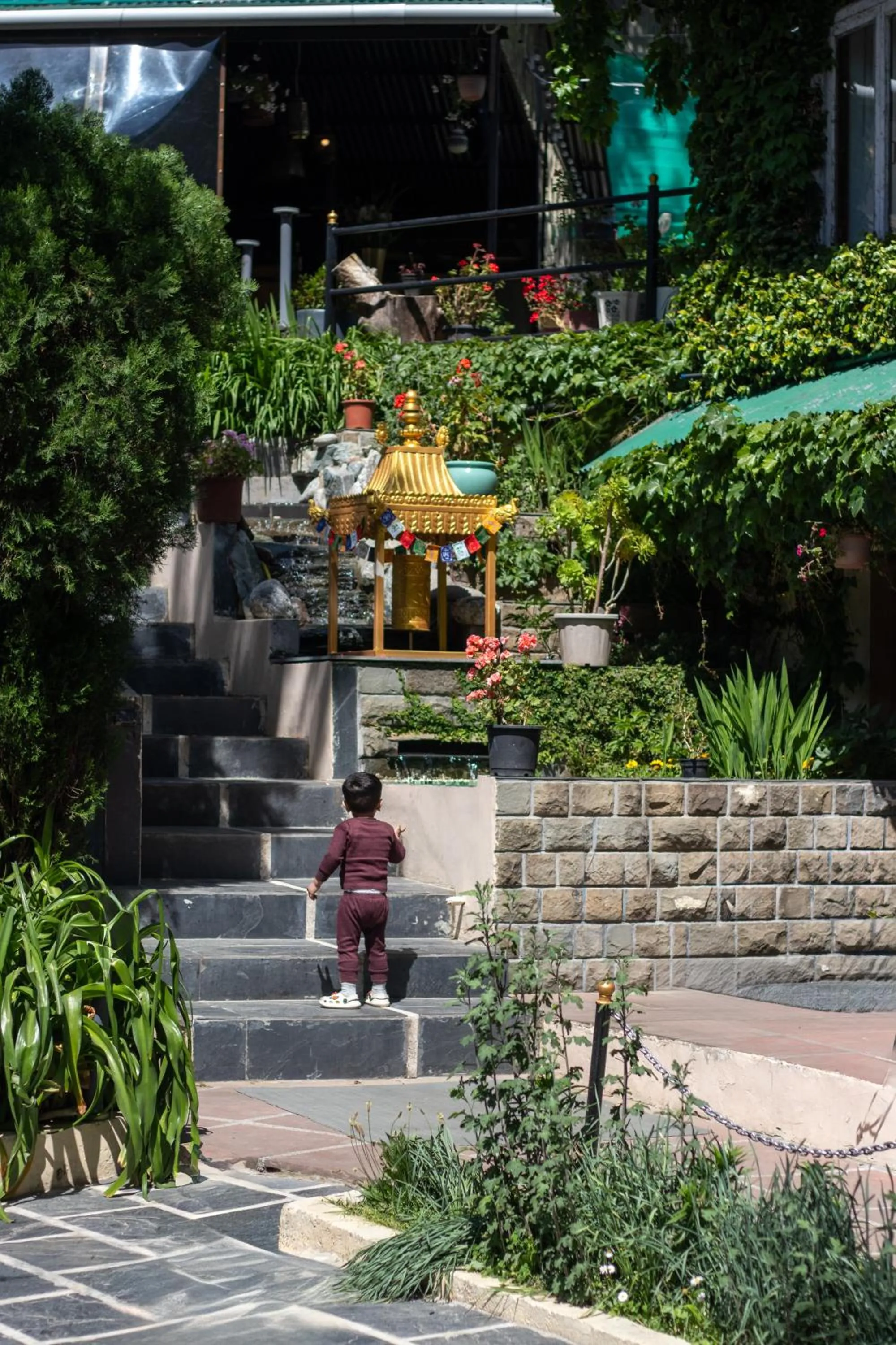 Garden in Alps Resort