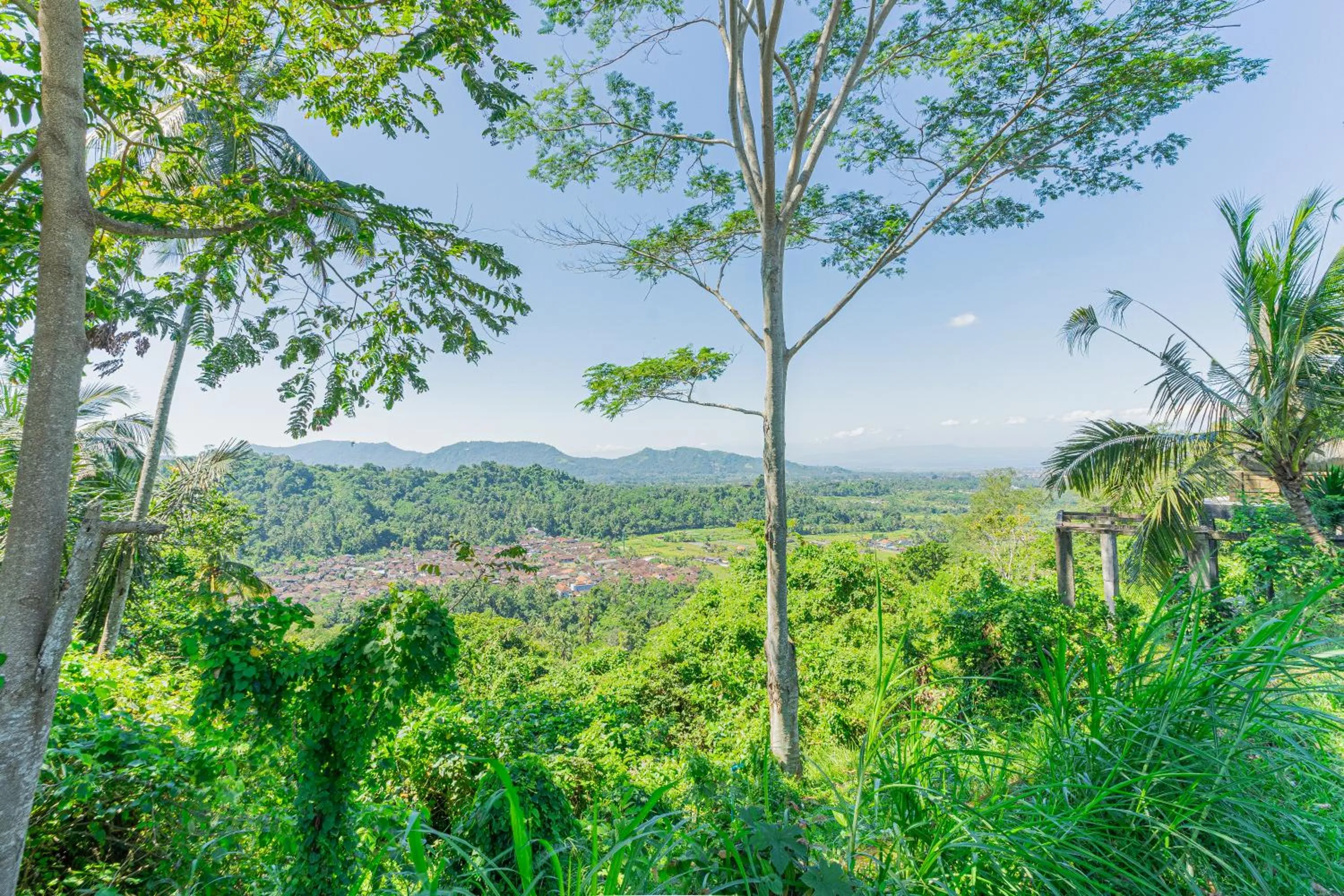 View (from property/room) in Lembah Wanna