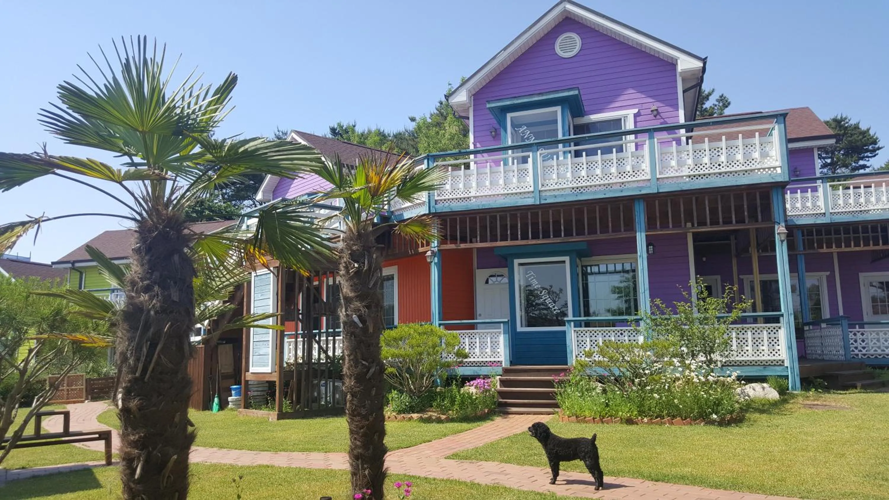 Gyeongju Novios Pets Friendly Pension