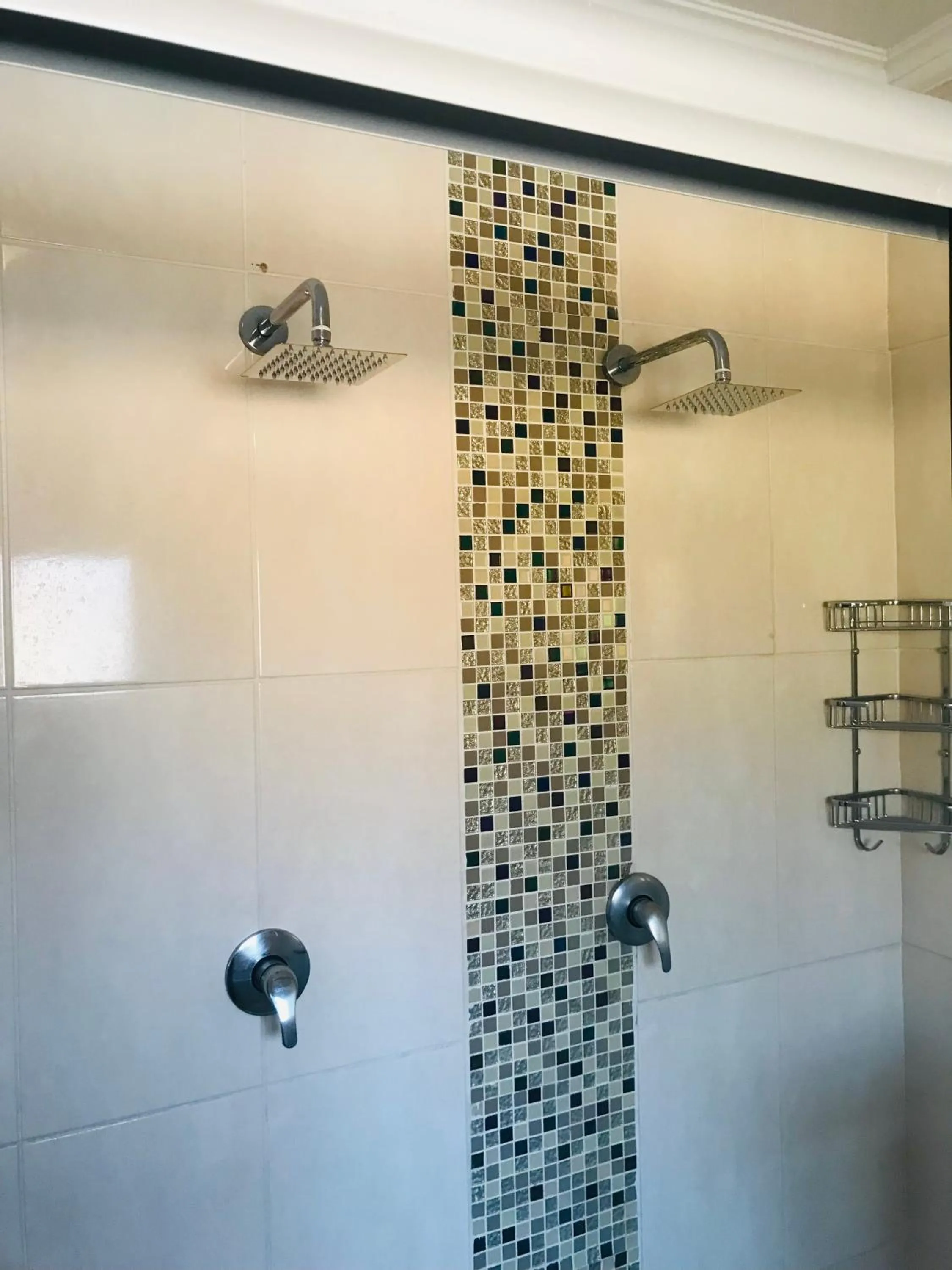 Bathroom in Maun Executive Inn