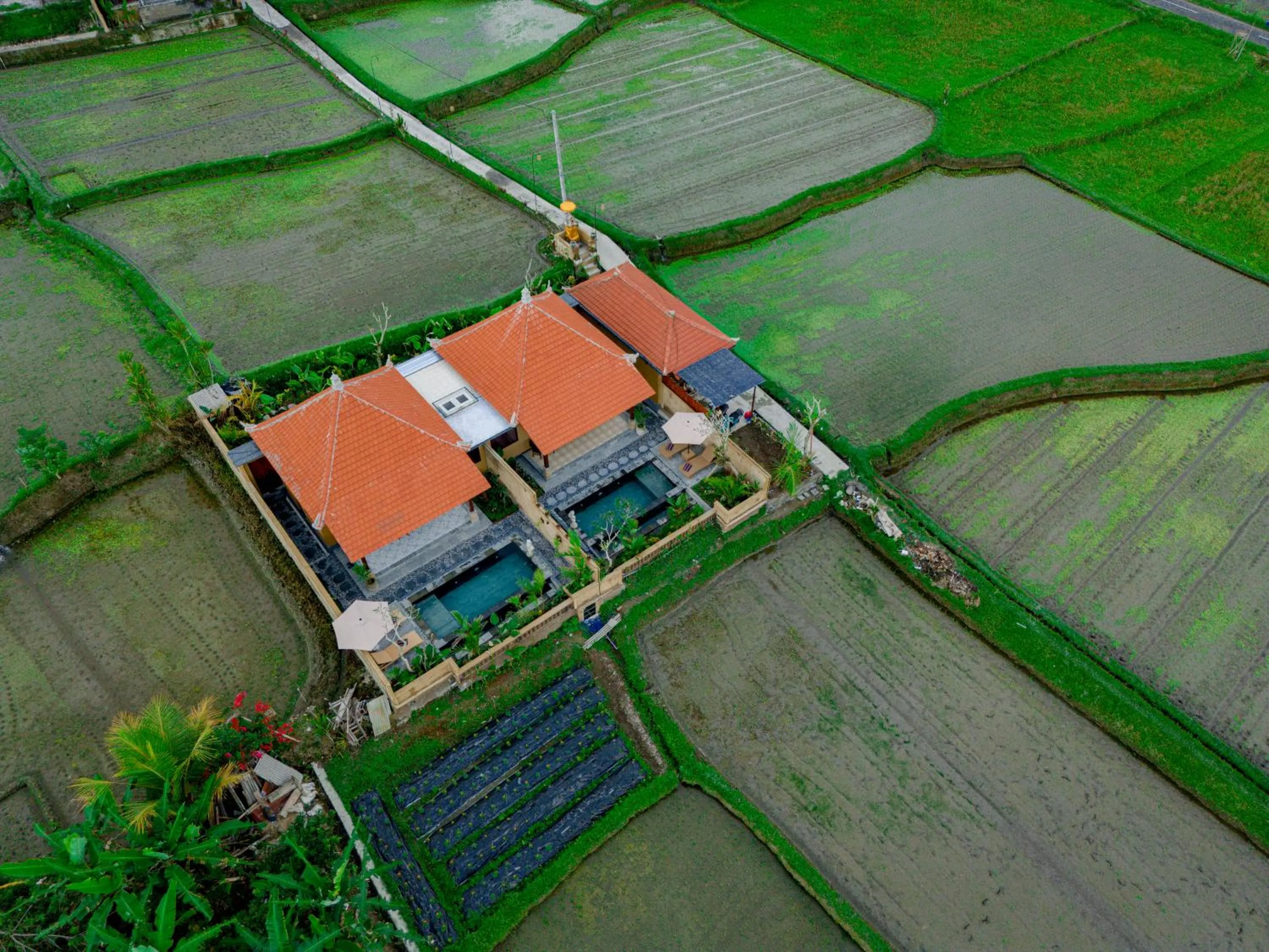 Natural landscape in Umesari Villa Sebatu by Dhananjaya Hospitality