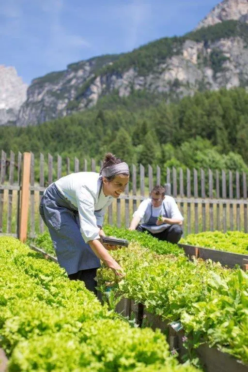 Staff in Hotel Villa Trieste