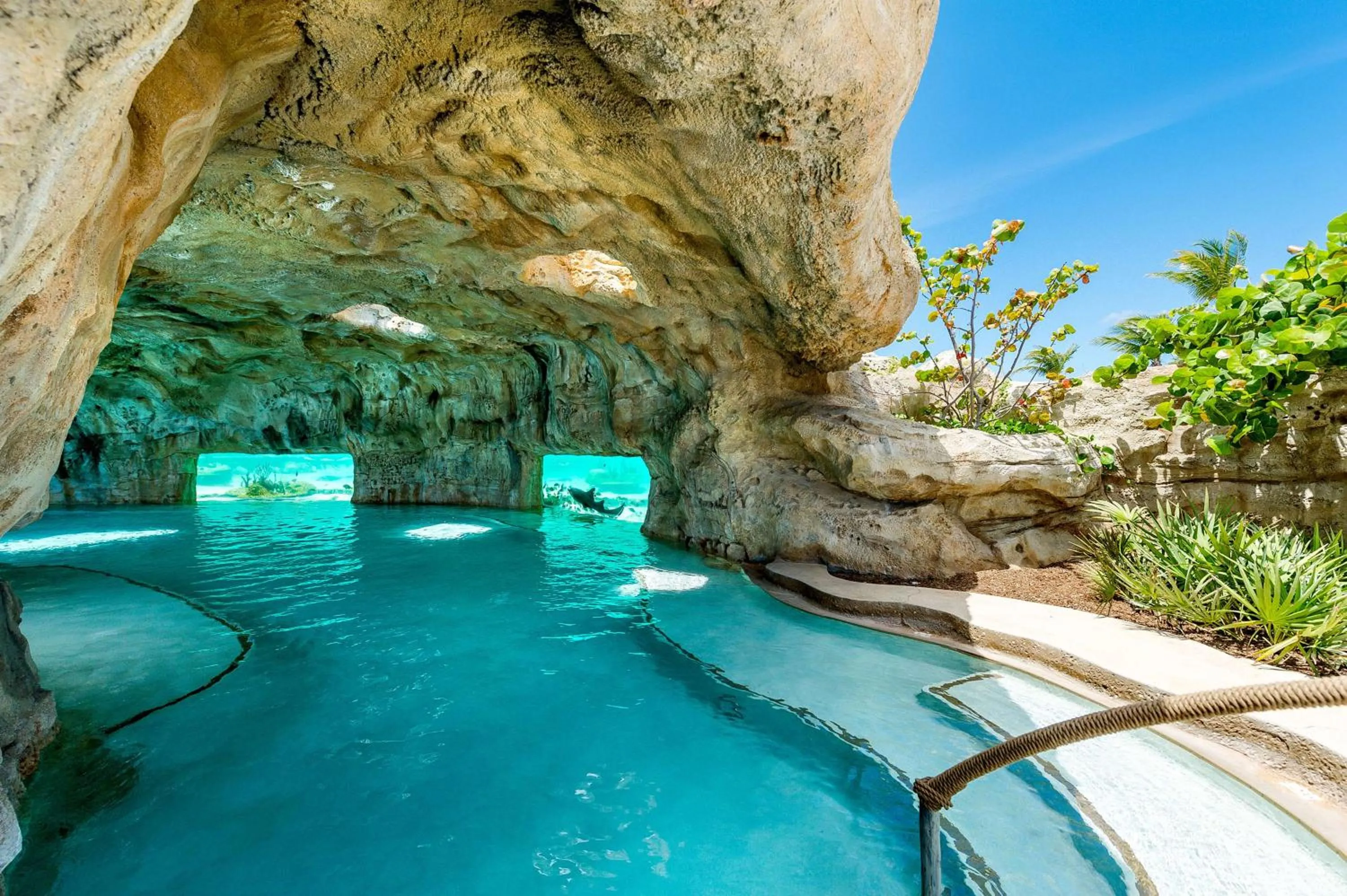 Beach in Grand Hyatt Baha Mar