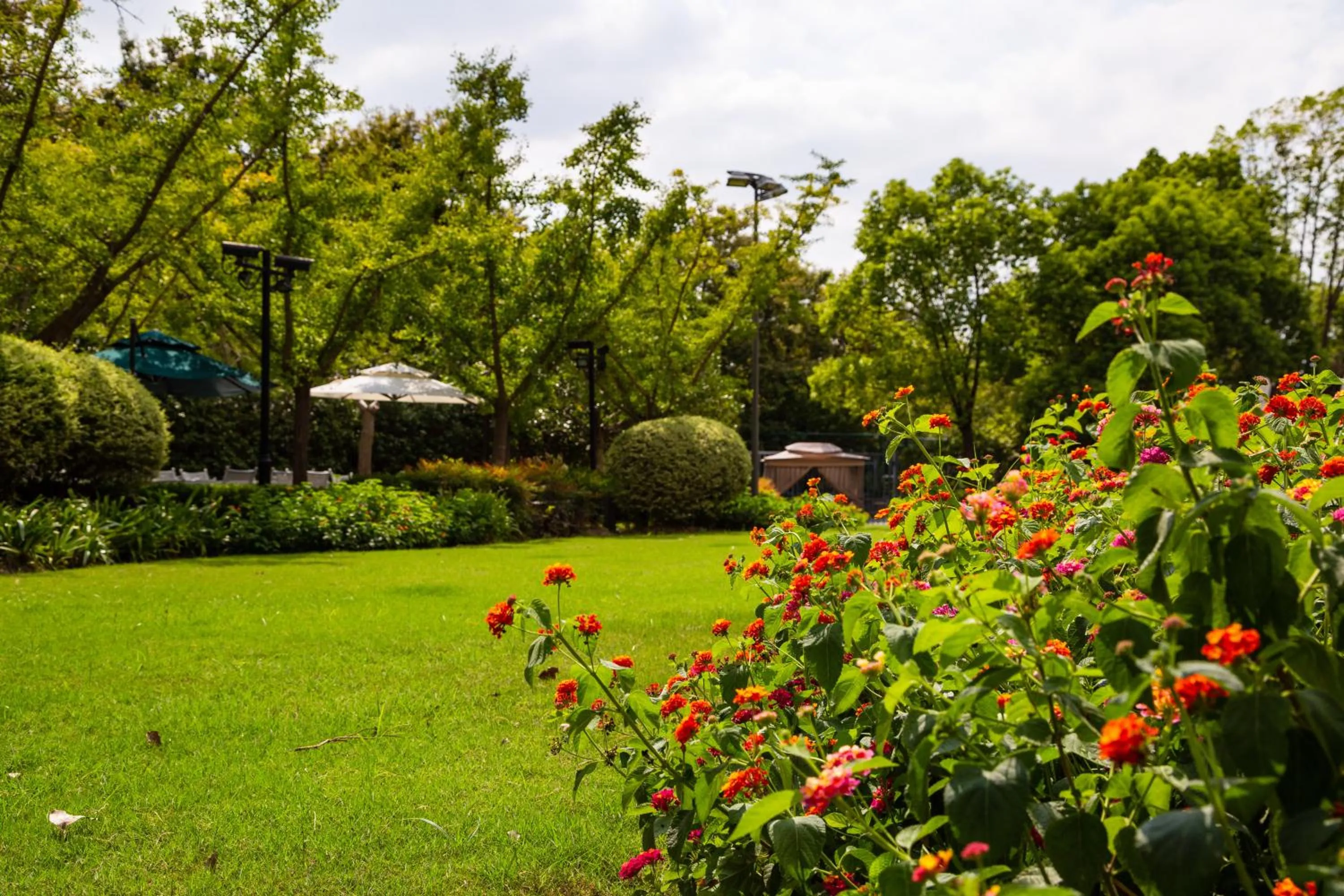 Garden in Doubletree By Hilton Shanghai Hongqiao