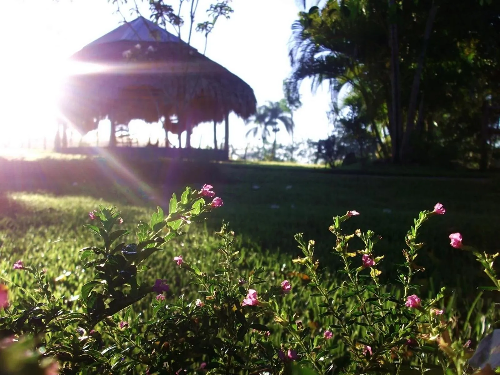 Garden in Los Bohios Campo Añil
