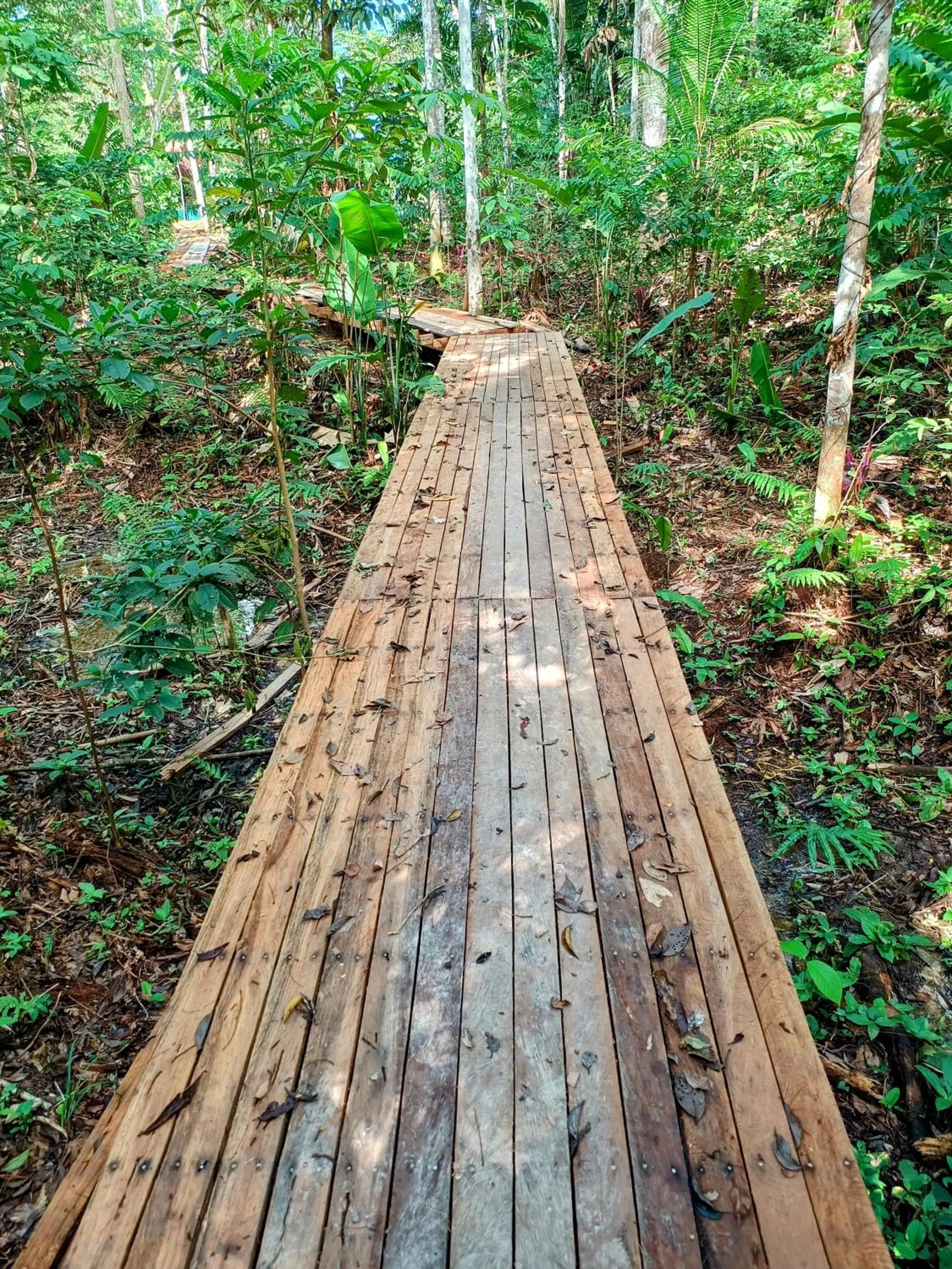 Natural landscape in Burú Nature Hotel