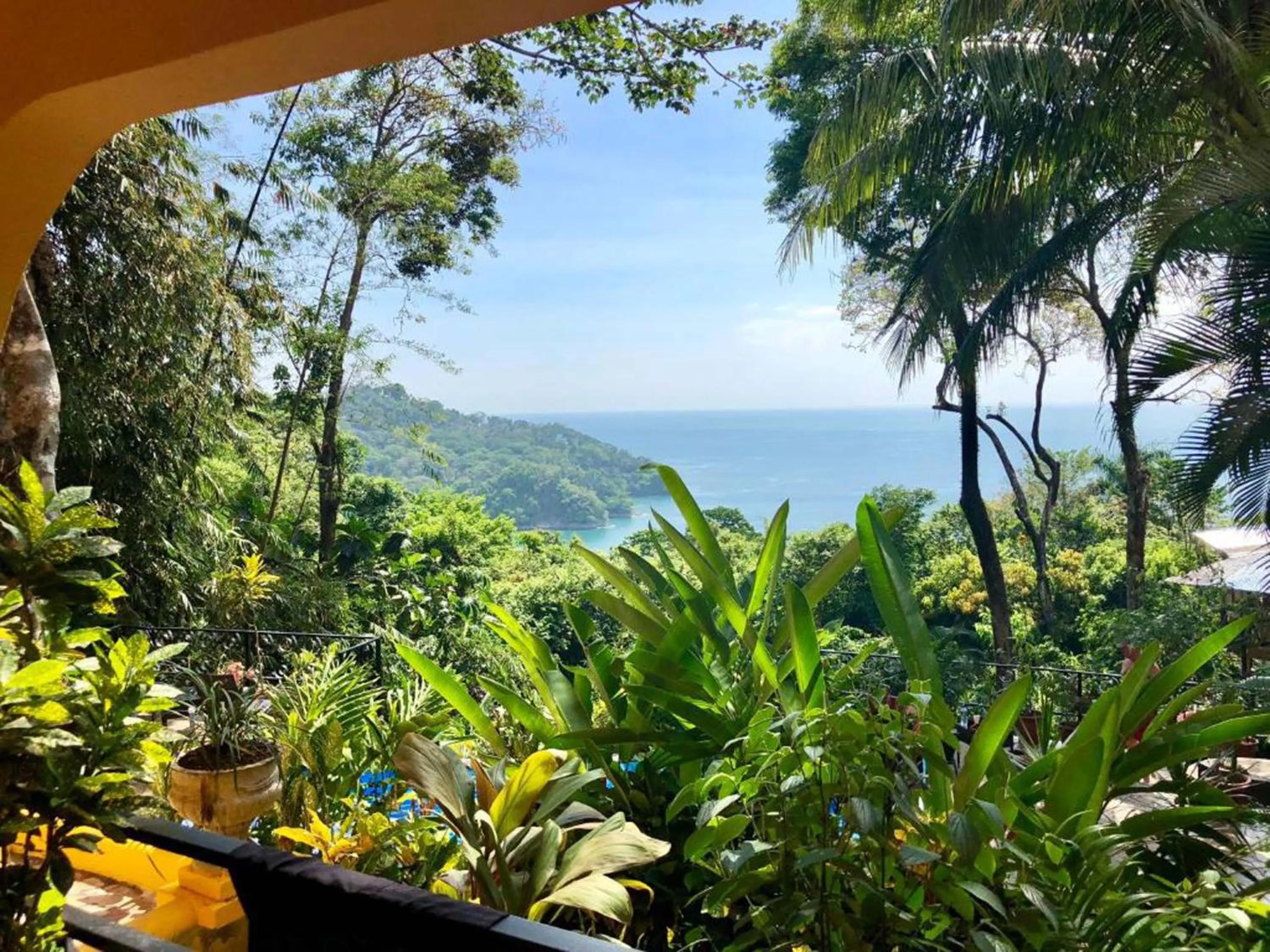 Garden view in Mango Moon Villa