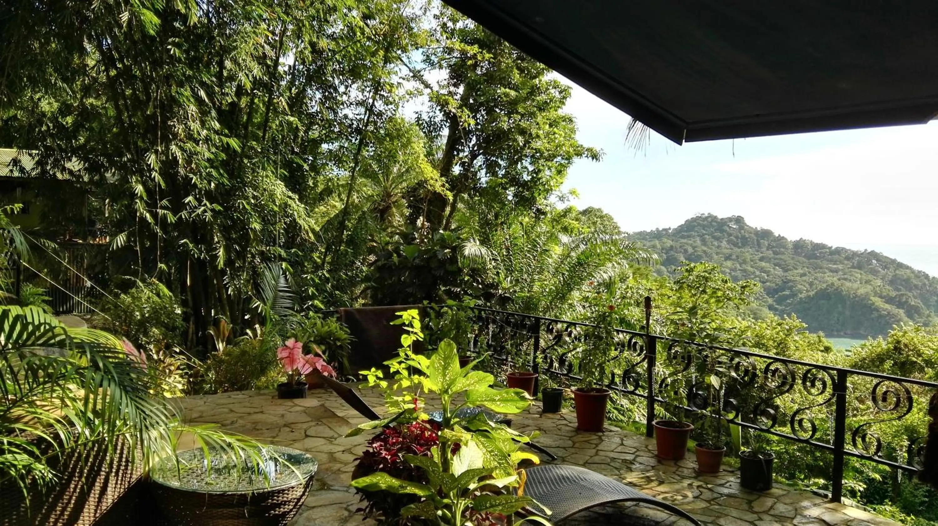 Property building in Mango Moon Villa