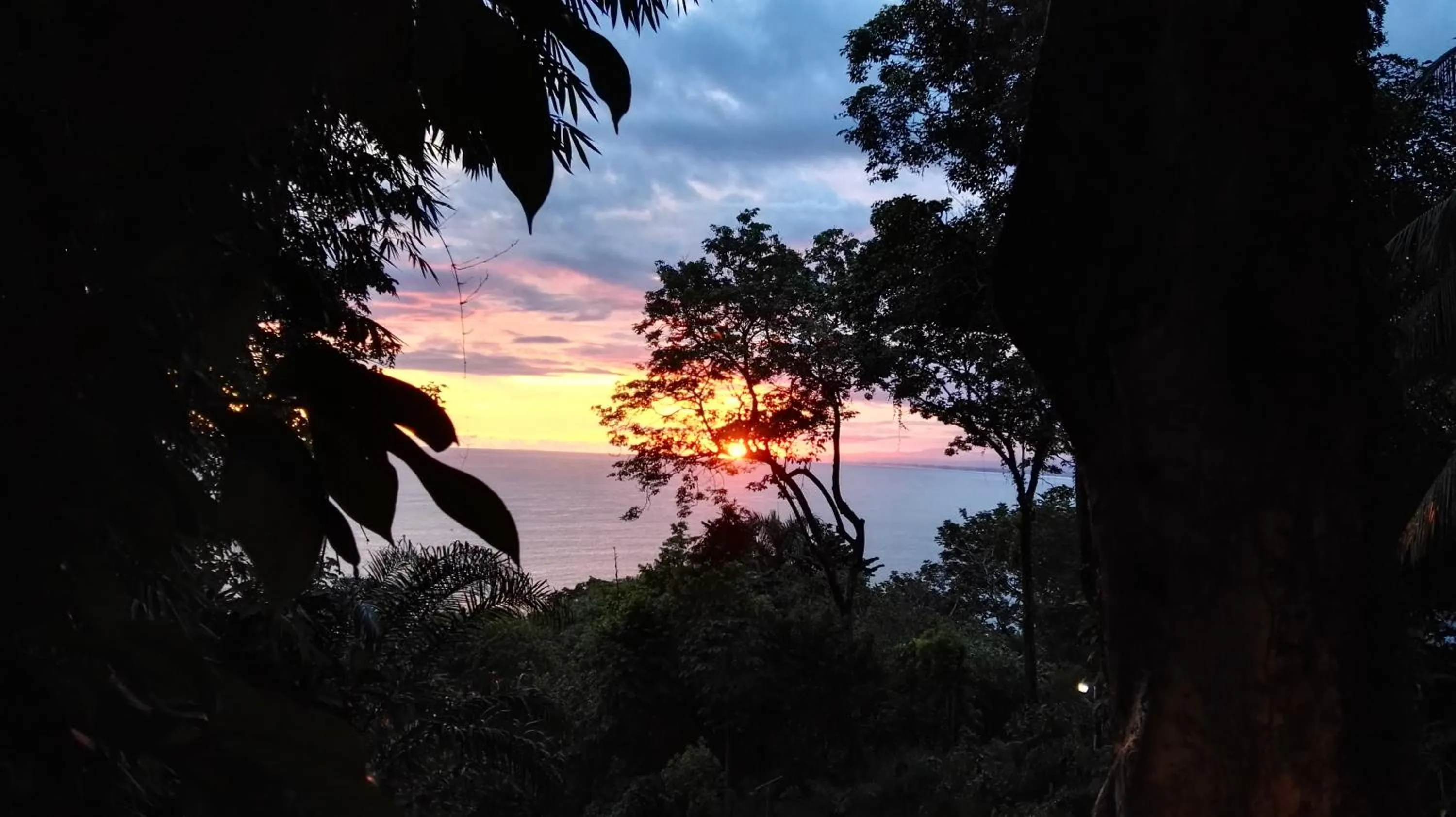 Property building in Mango Moon Villa