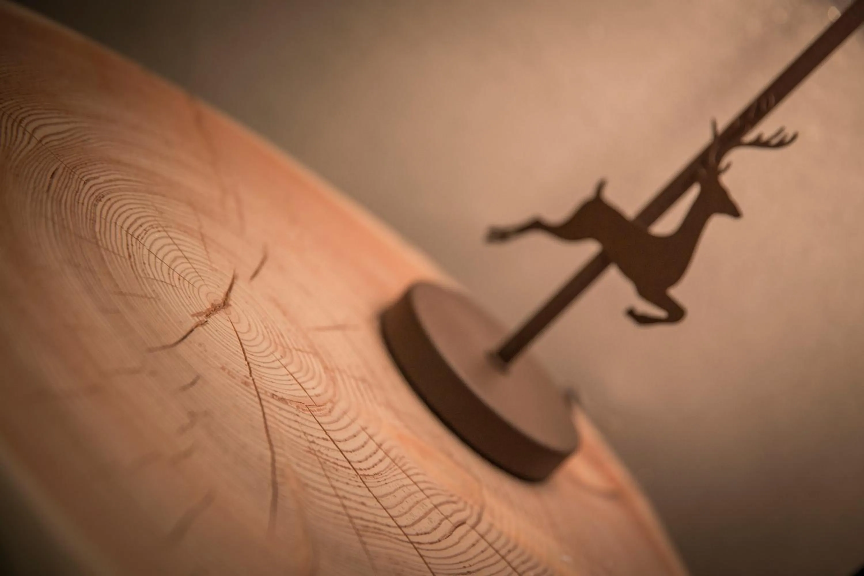 Decorative detail in Aparthotel Dolomites Living&Relax