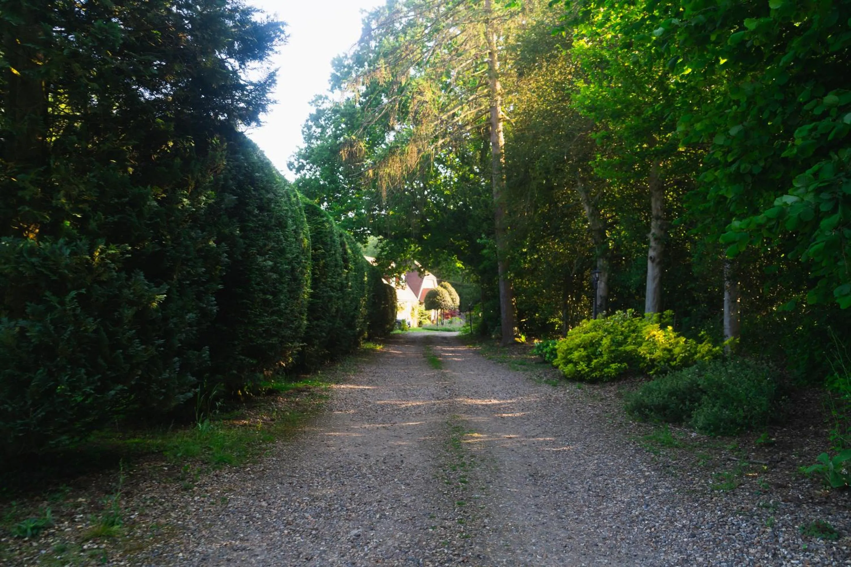 Garden in The Bungalow by TAS