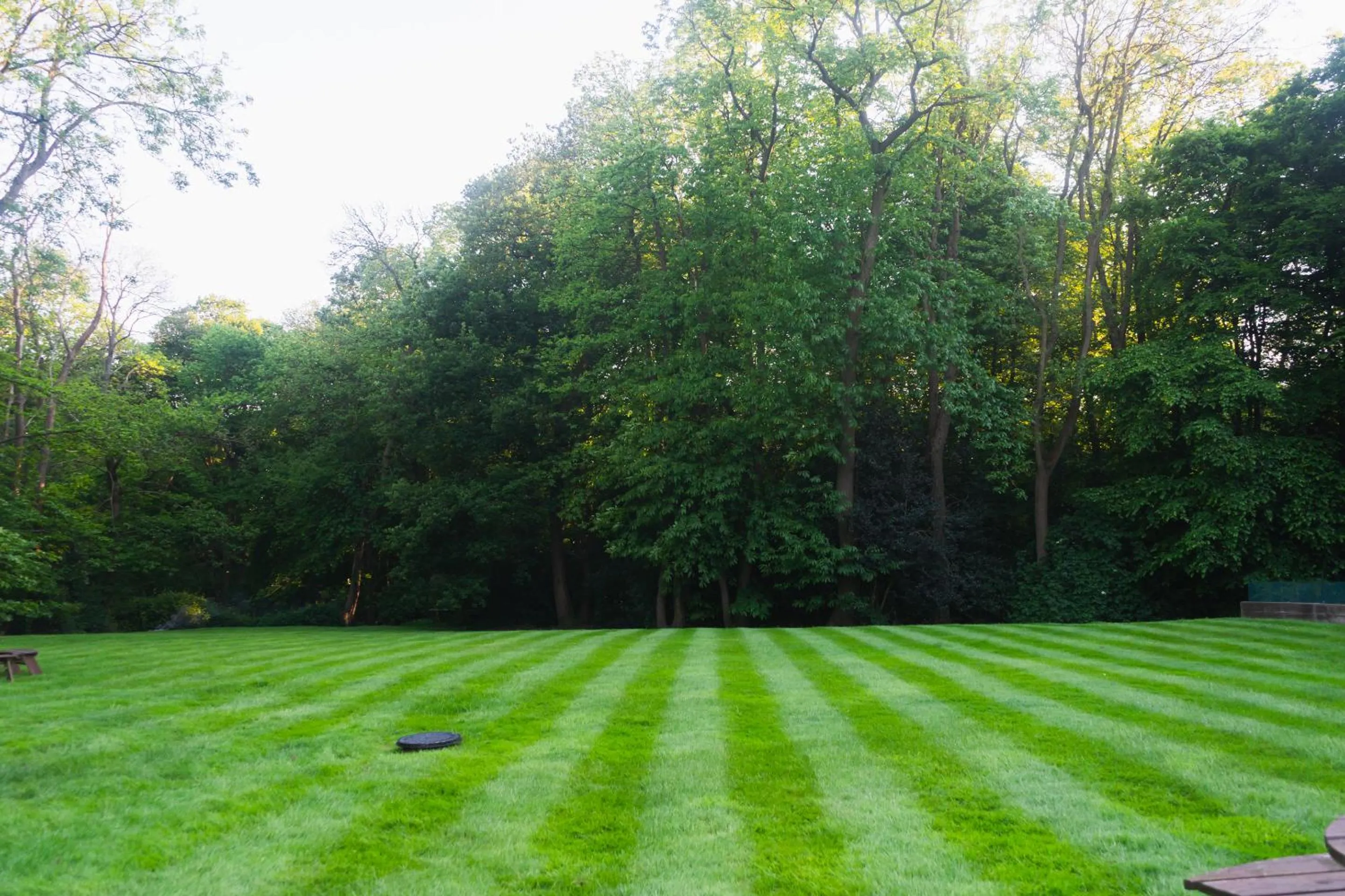 Garden in The Bungalow by TAS