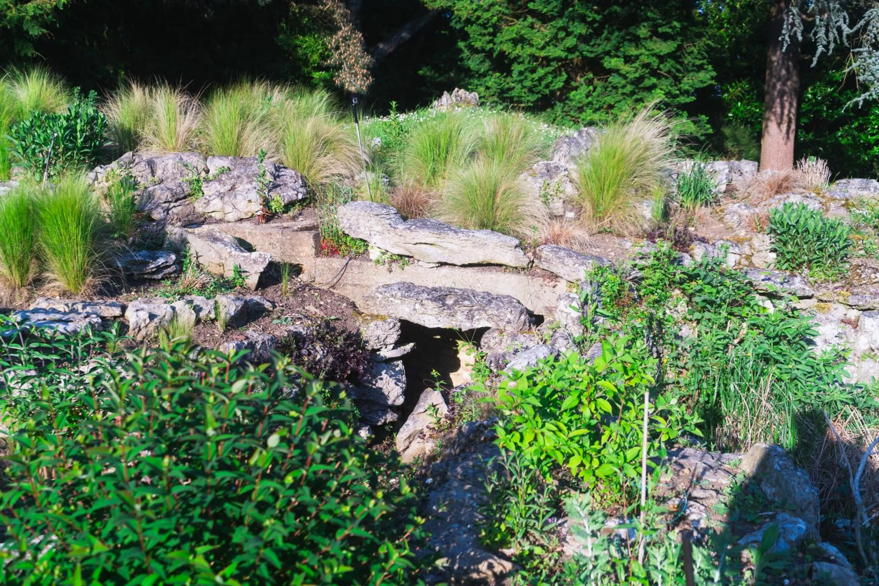 Garden in The Bungalow by TAS