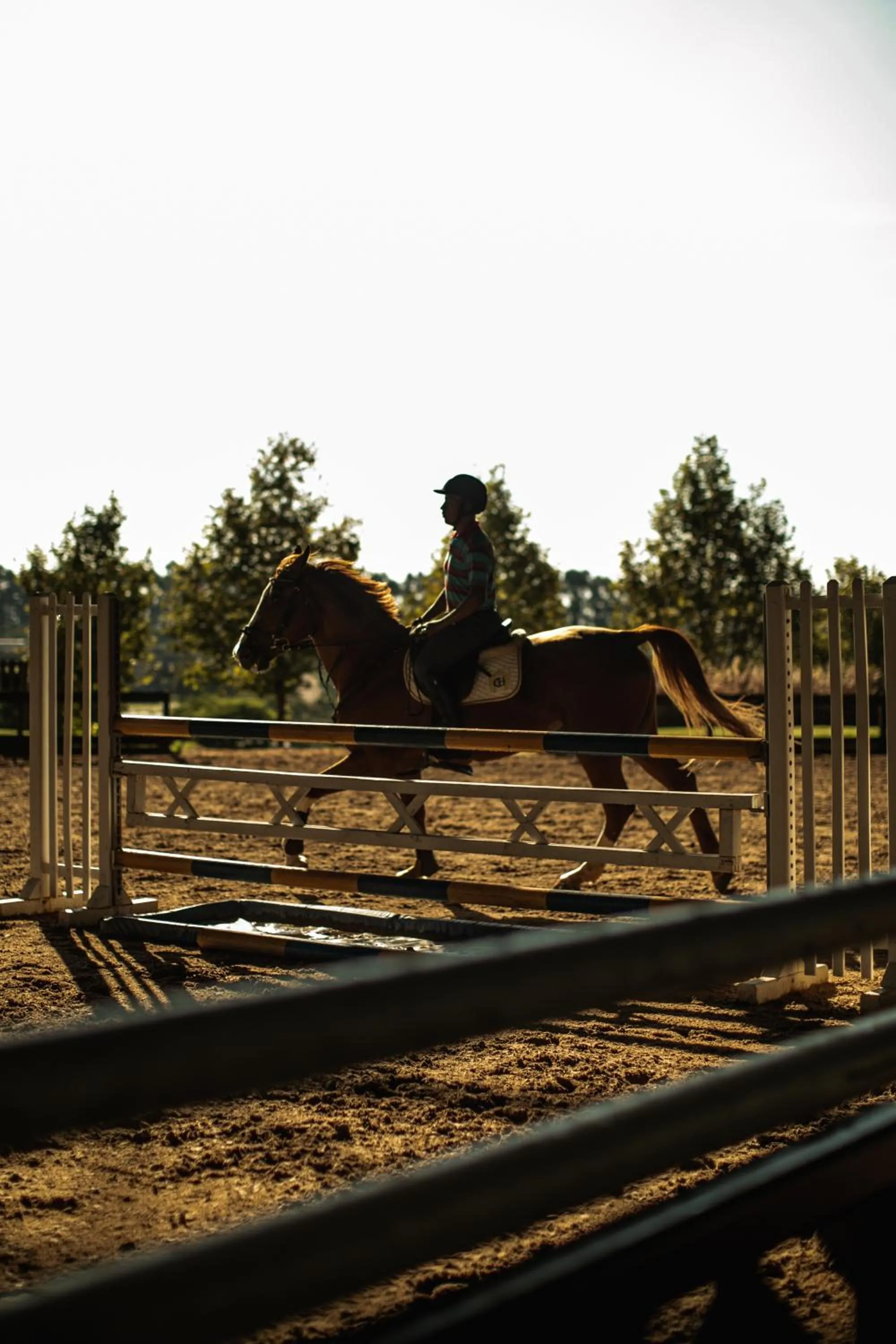 Horse-riding in Hotel Fasano Boa Vista