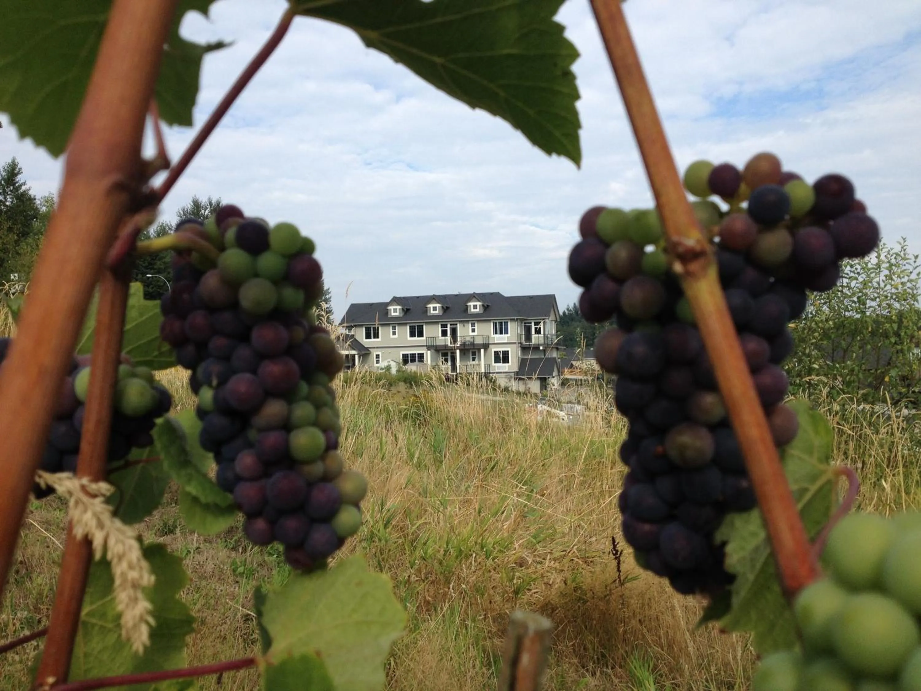 View (from property/room) in Brookside Inn Boutique Hotel