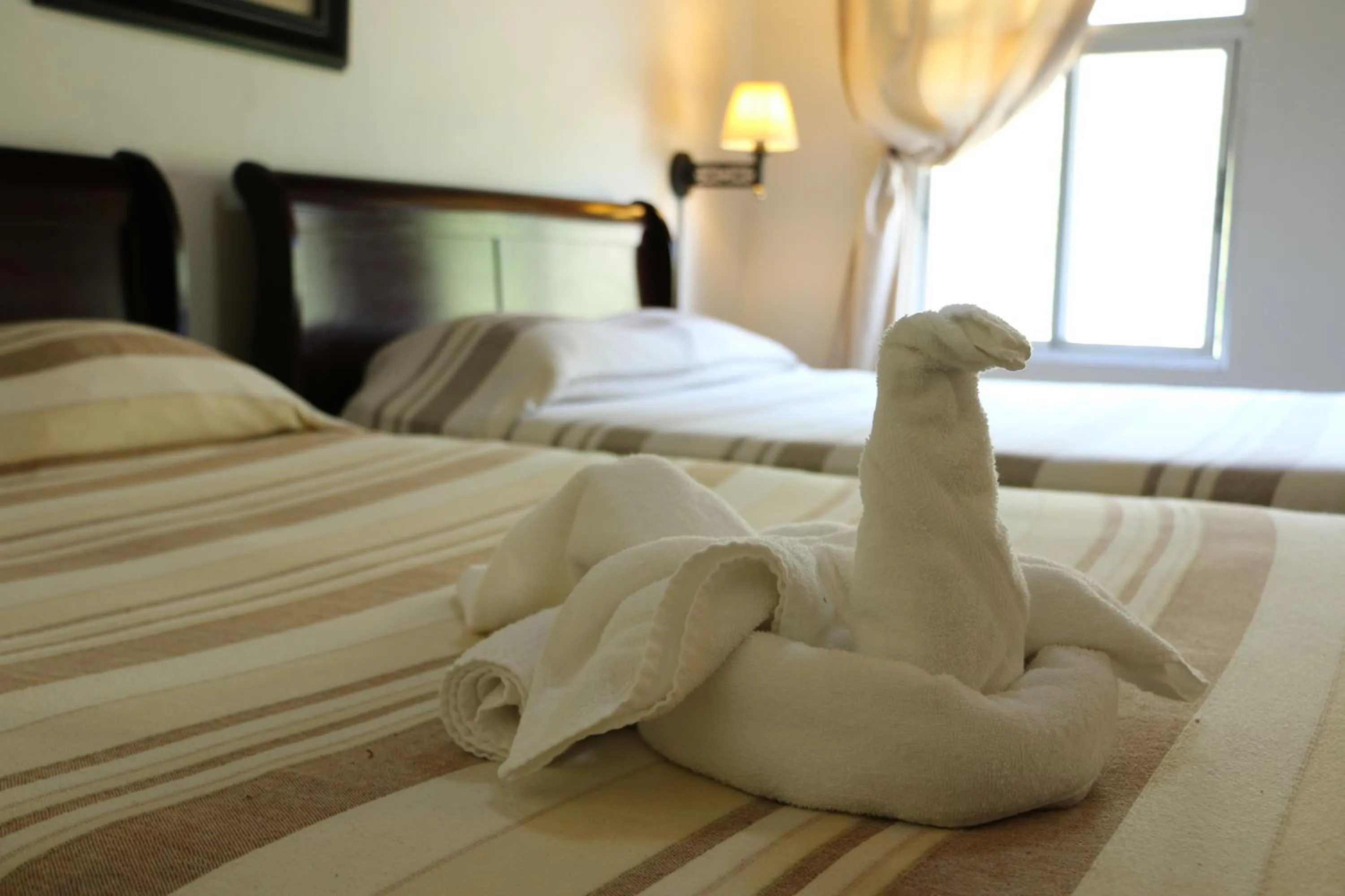 Photo of the whole room, Bed in Hotel Campestre