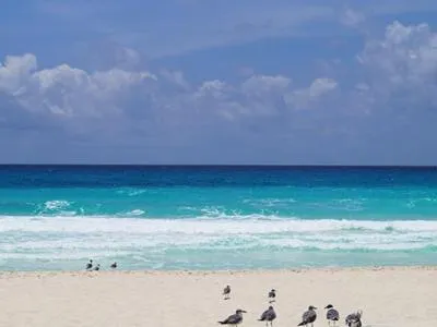 Beach in Apartment Ocean Front Cancun
