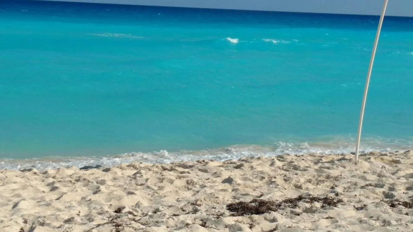 Beach in Apartment Ocean Front Cancun
