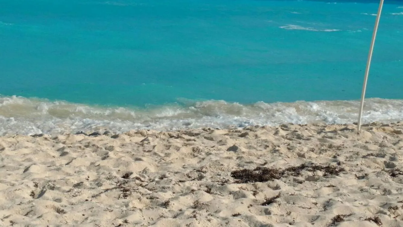 Beach in Apartment Ocean Front Cancun