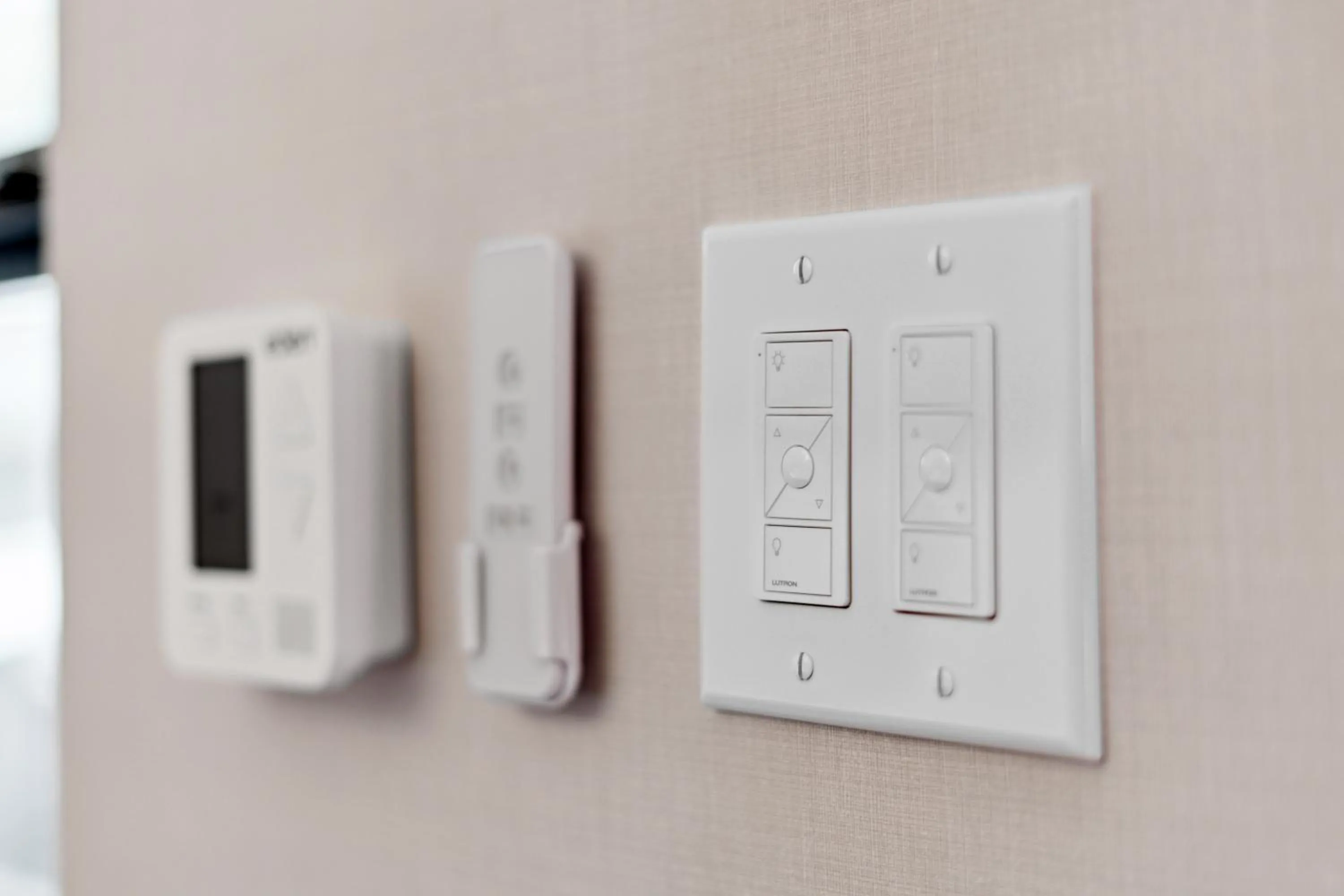 Other in The Evergreen