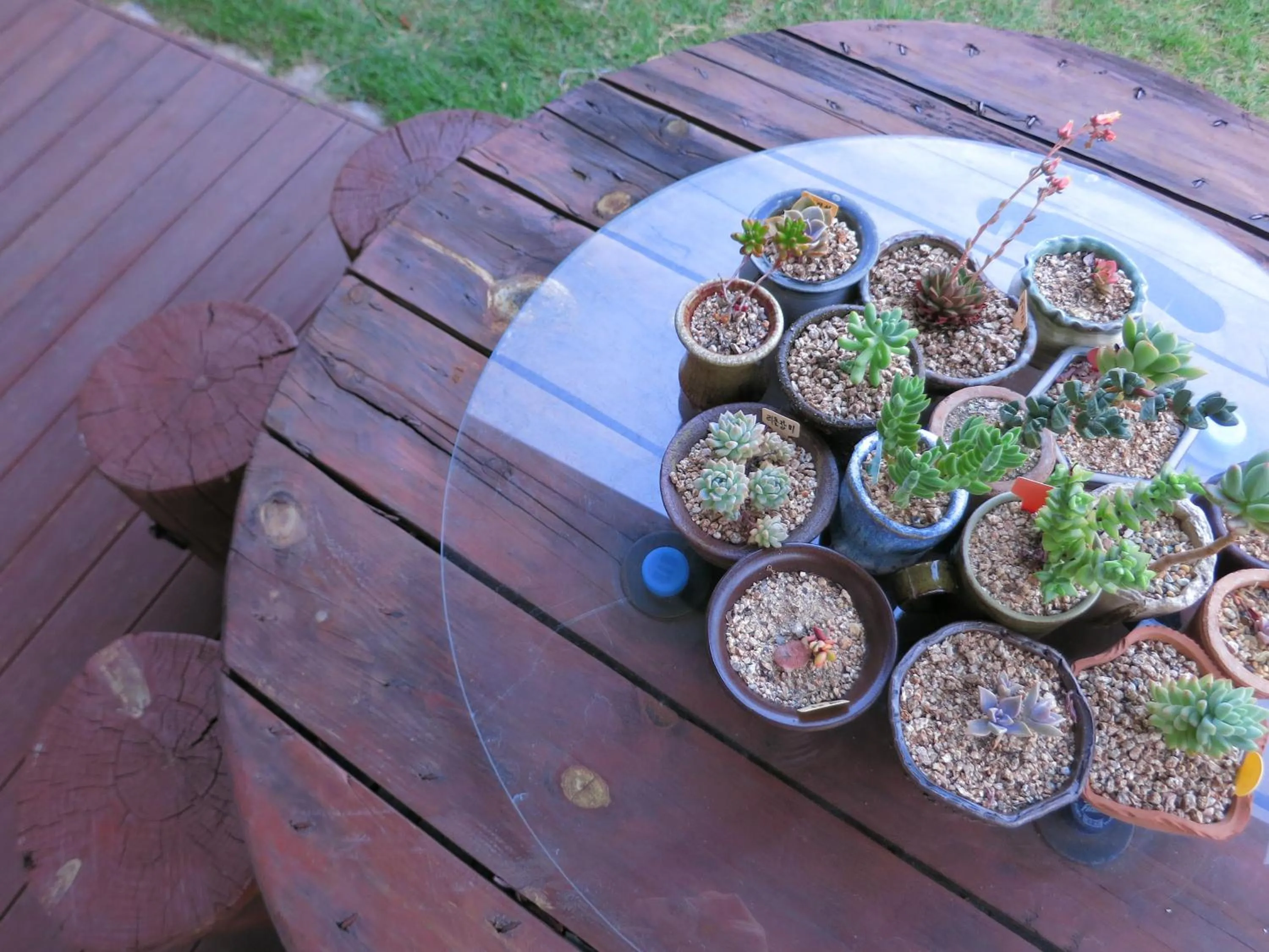 View (from property/room) in Hanok Raon