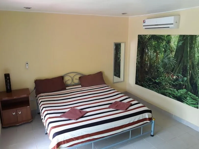 Bed in Carpe Diem Guest House
