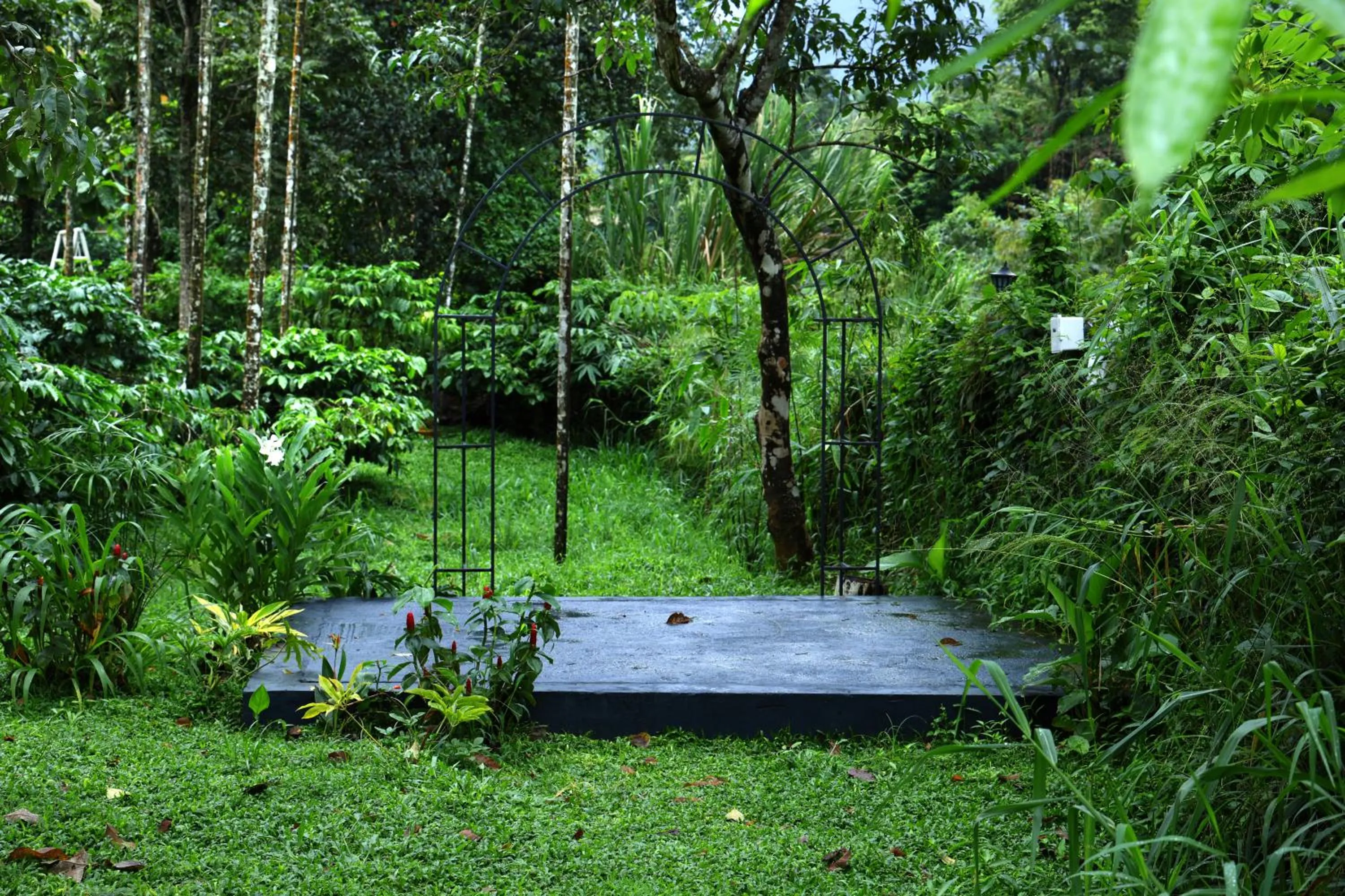 Garden in Bay View Suites, Vythiri, Wayanad