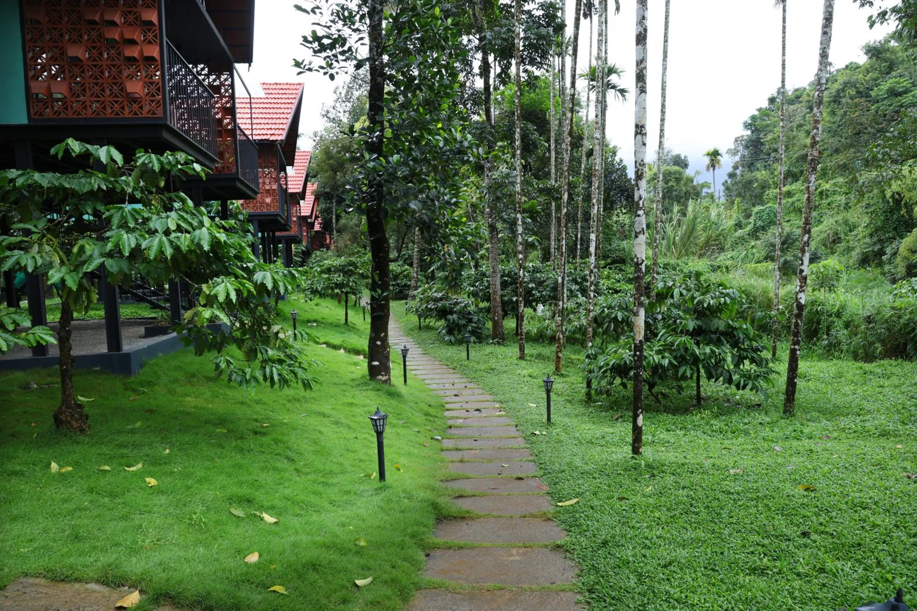 Garden in Bay View Suites, Vythiri, Wayanad