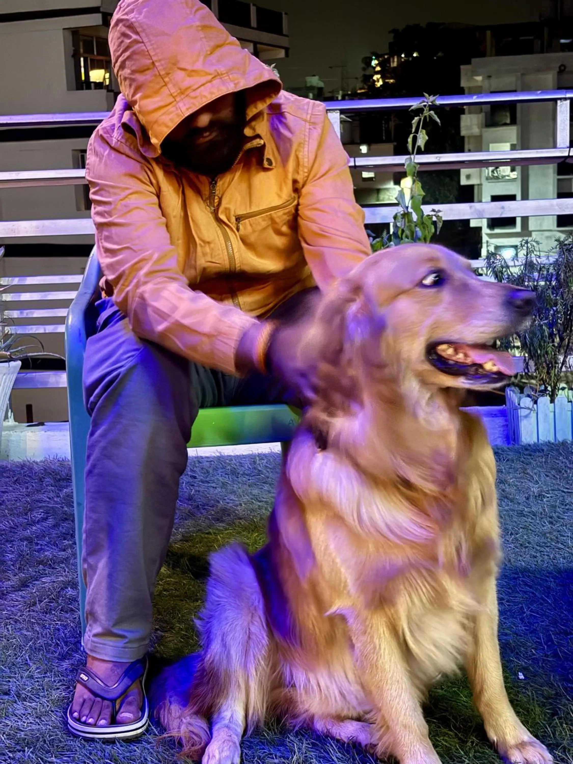 Pets in Urban Loft Hostel