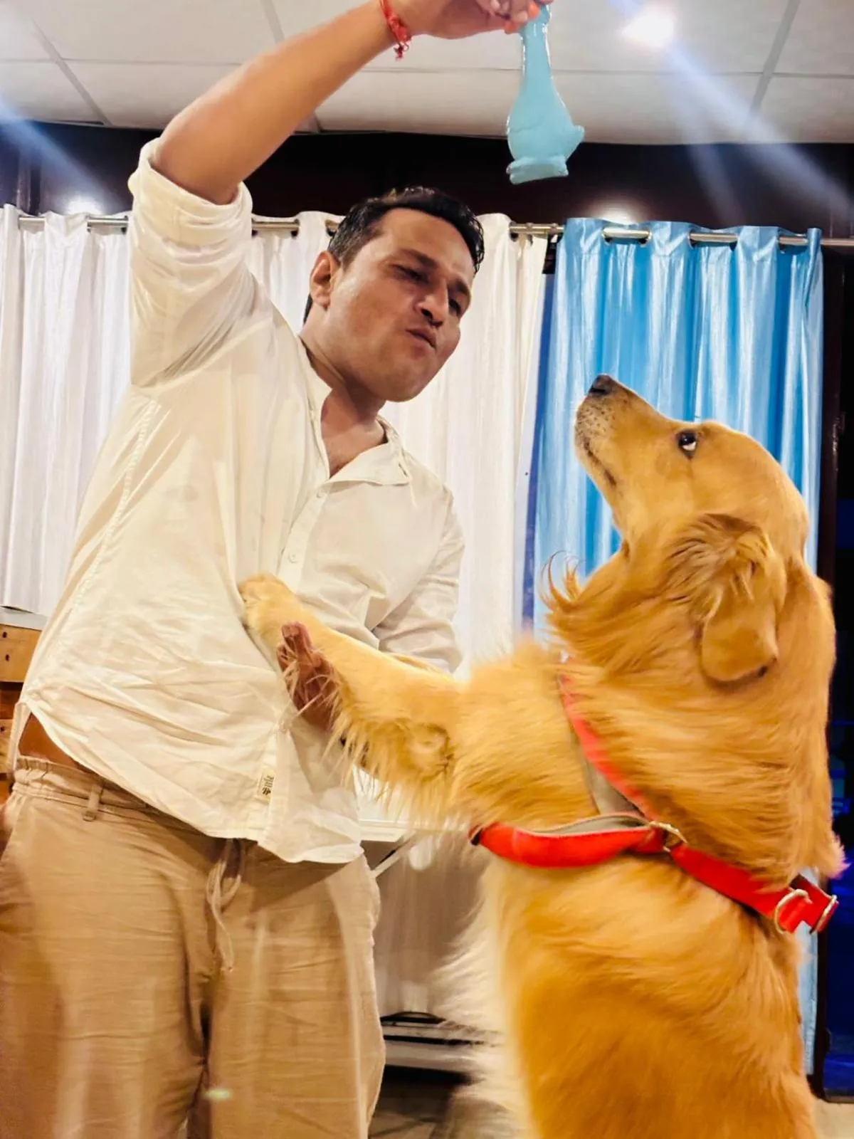 Pets in Urban Loft Hostel