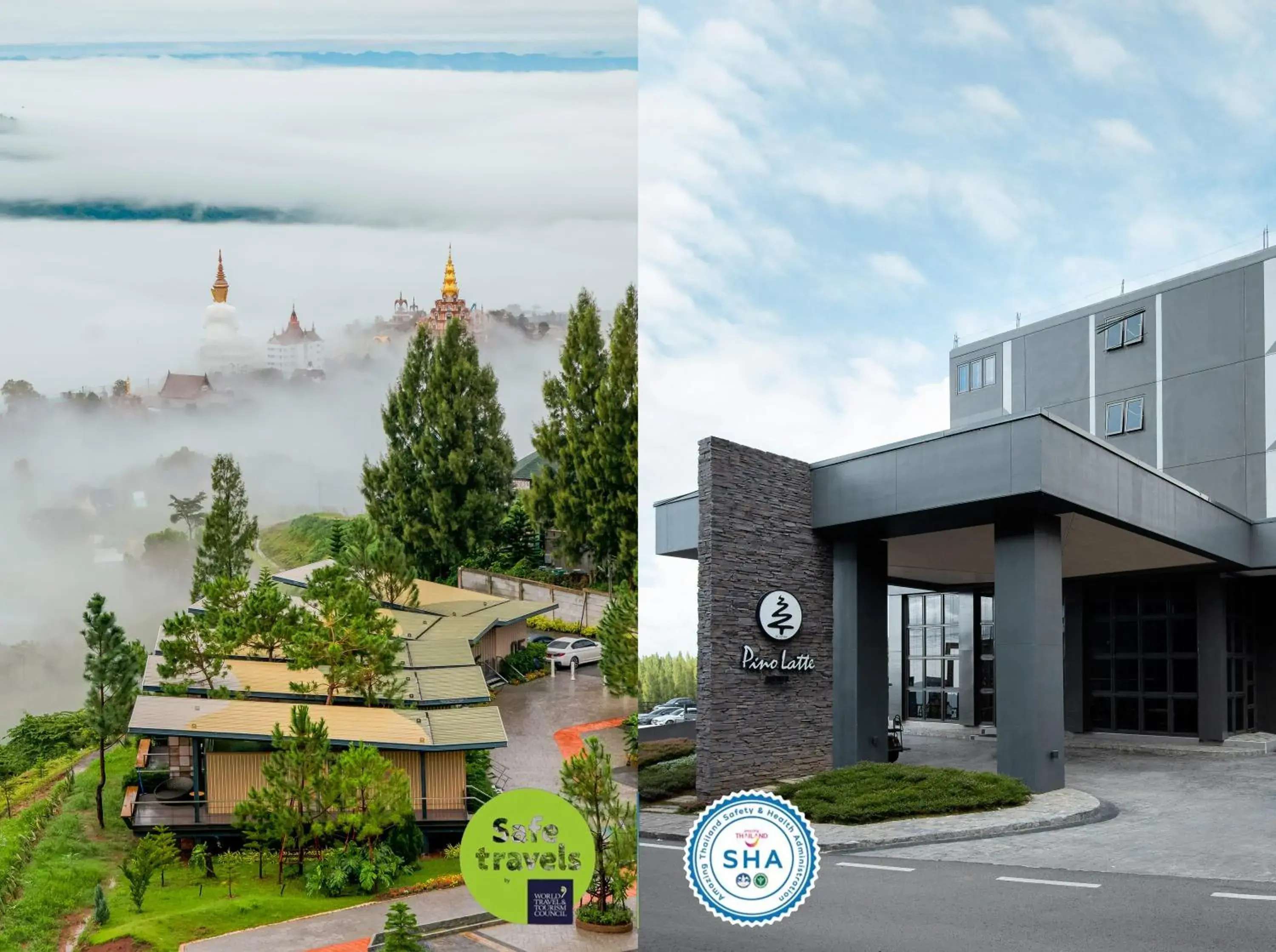 Pino Latte Khao Kho Pino Latte Khao Kho