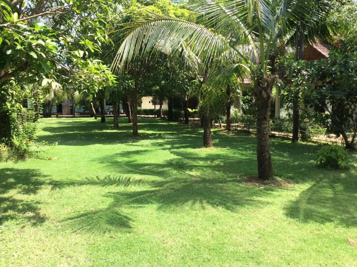 Garden in Cousin Resort