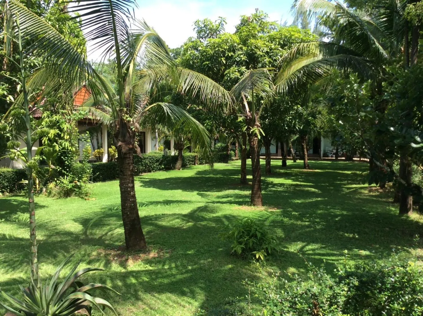 Garden in Cousin Resort