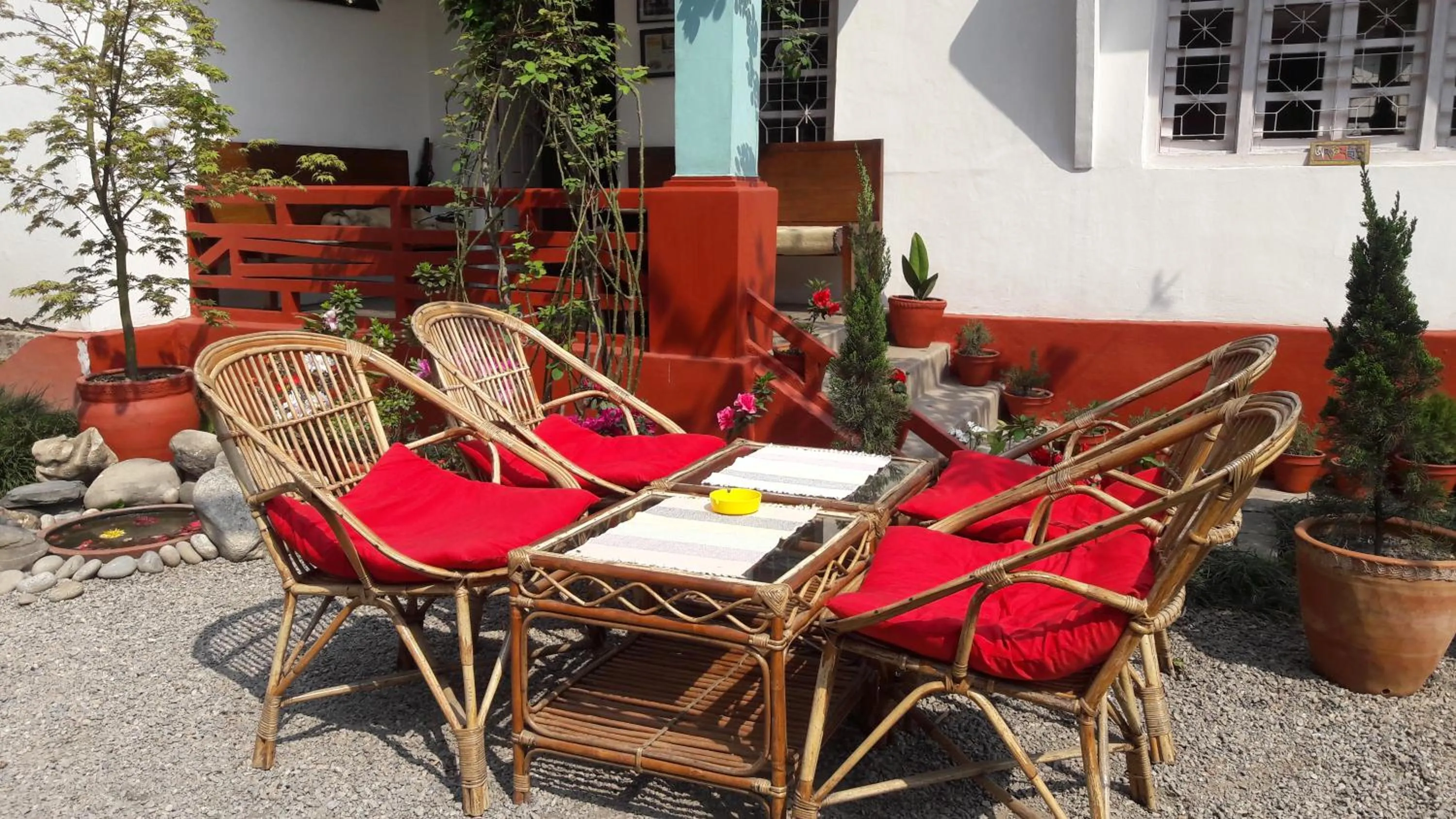 Restaurant/places to eat in Cocina Mitho Chha BNB