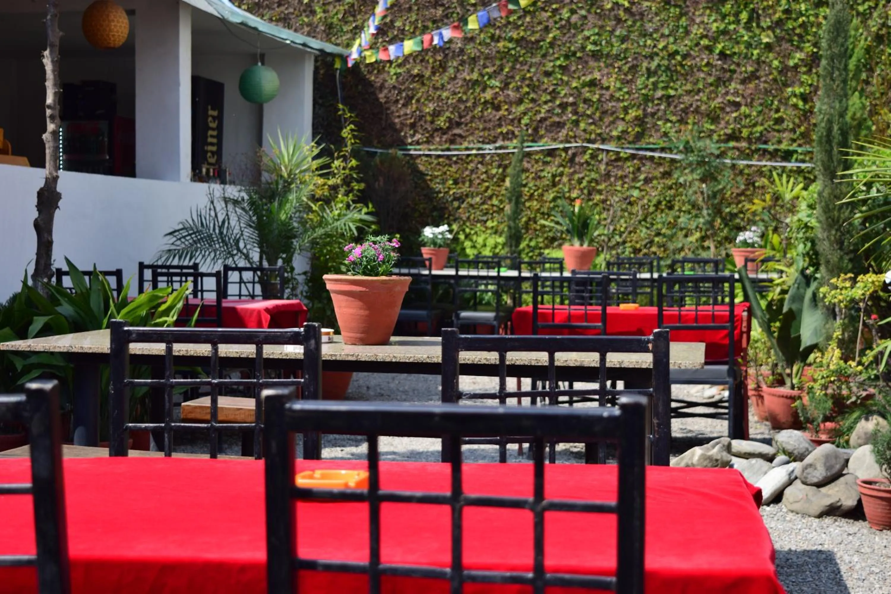 Garden in Cocina Mitho Chha BNB