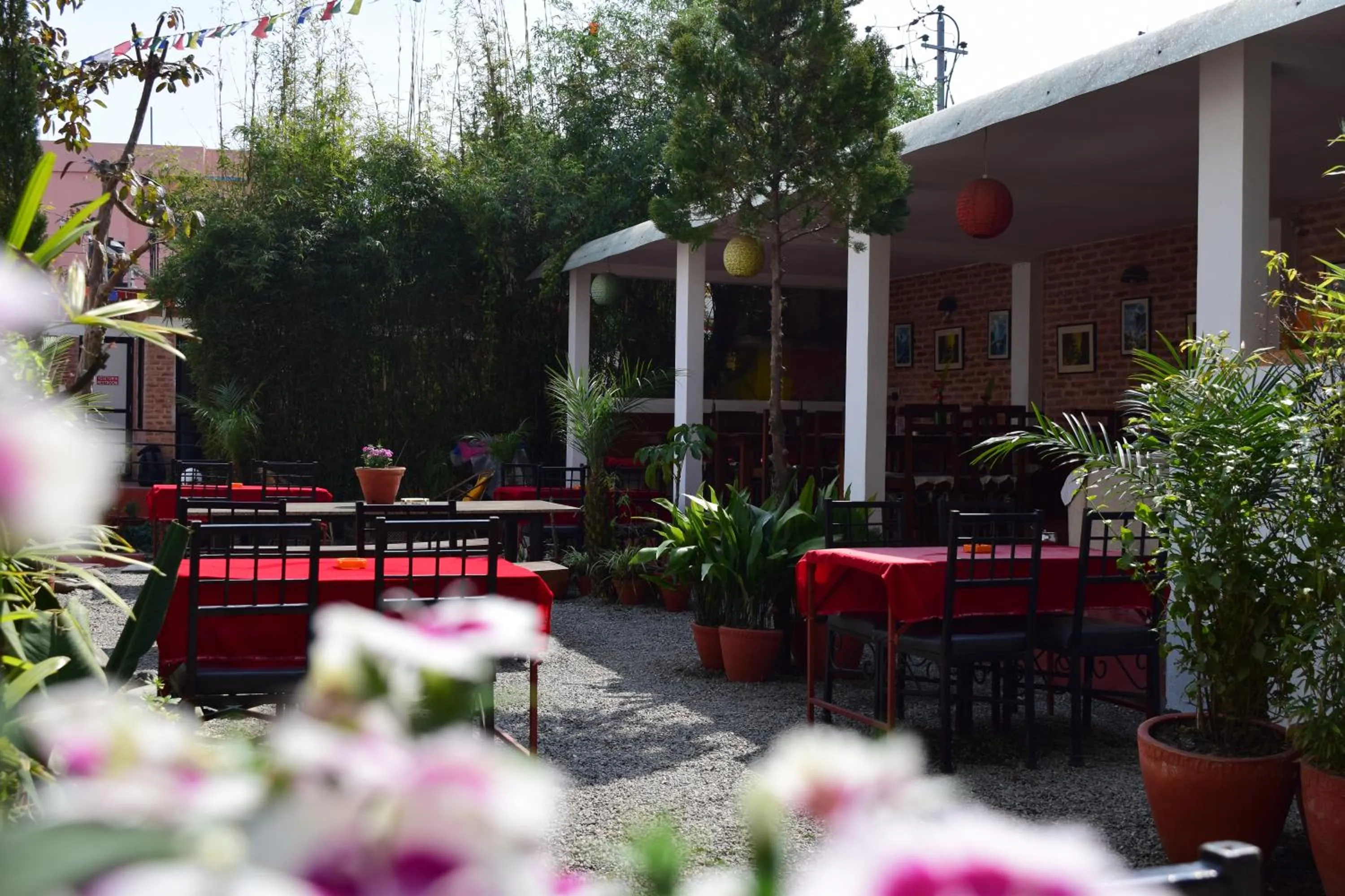 Patio in Cocina Mitho Chha BNB