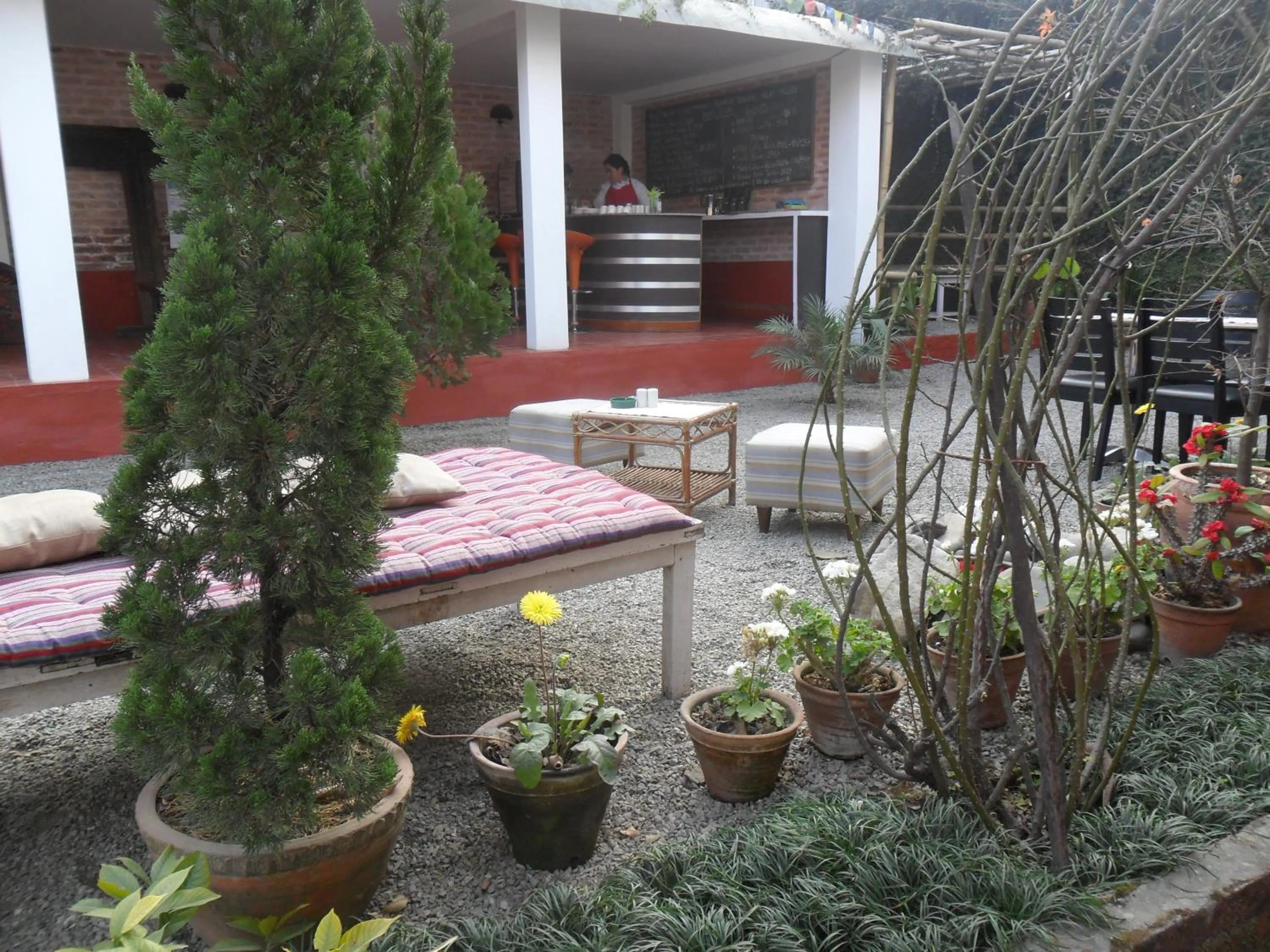 Garden in Cocina Mitho Chha BNB
