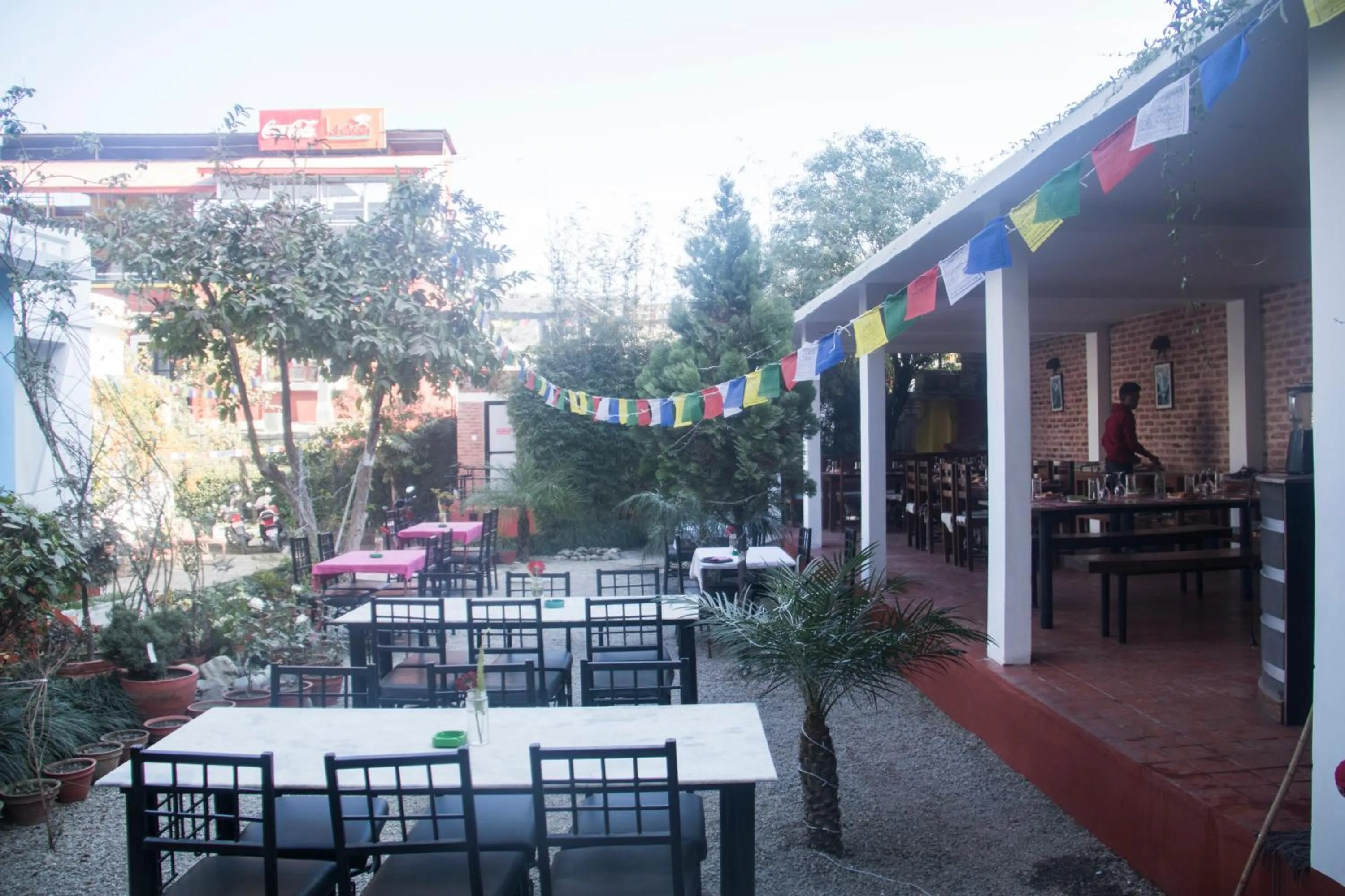 Restaurant/places to eat in Cocina Mitho Chha BNB